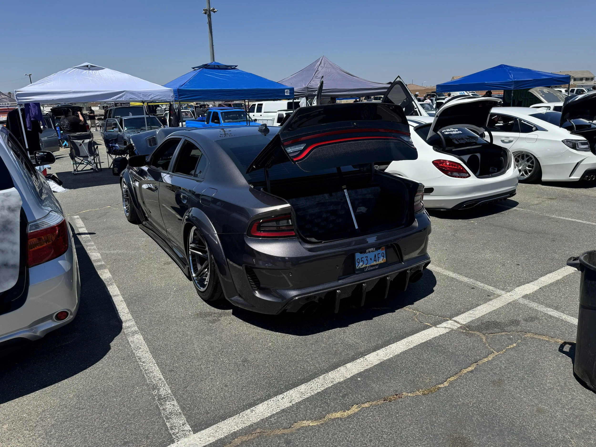 IMG_9679.jpg