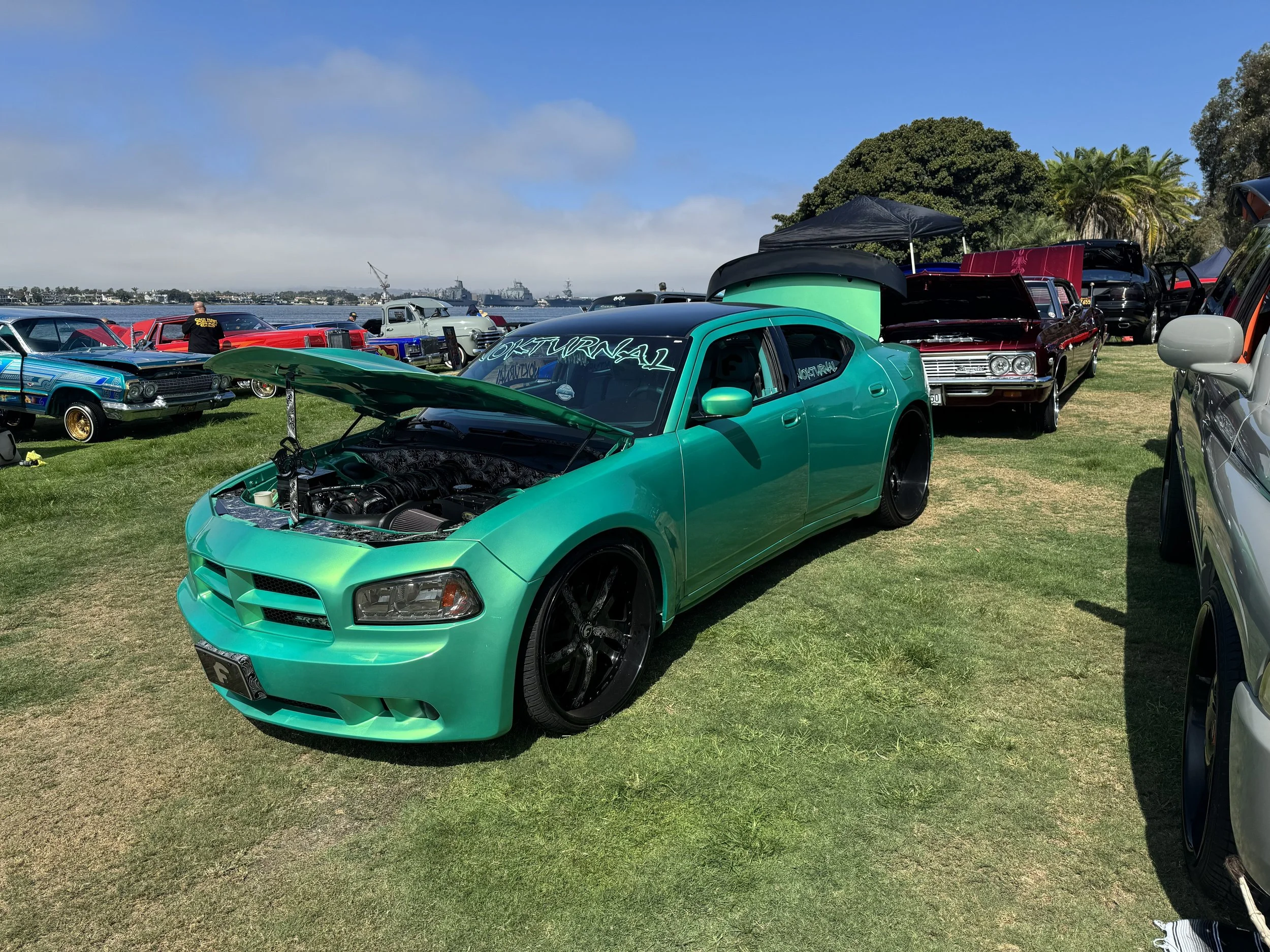 IMG_1986.jpeg