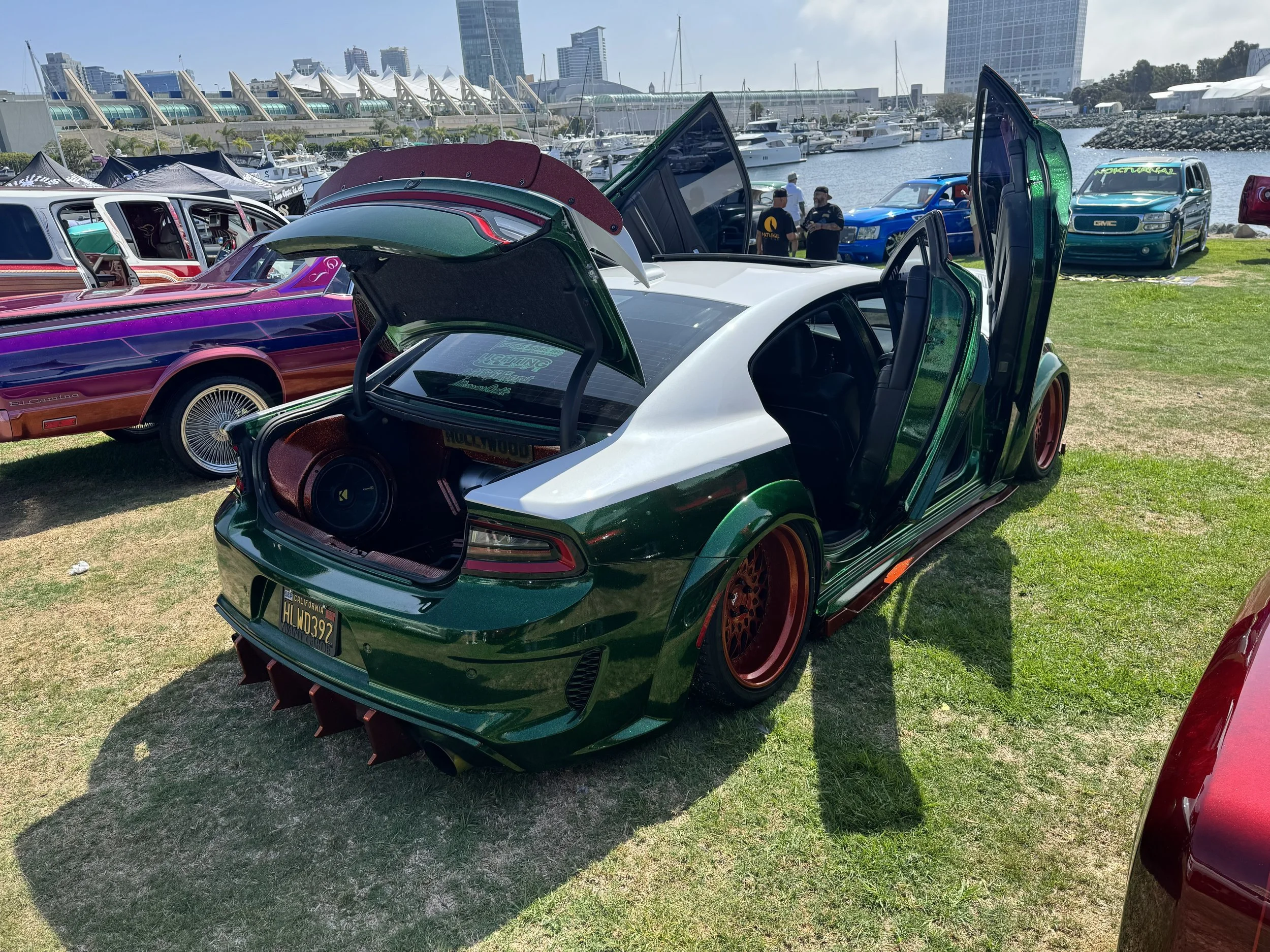 IMG_1978.jpeg