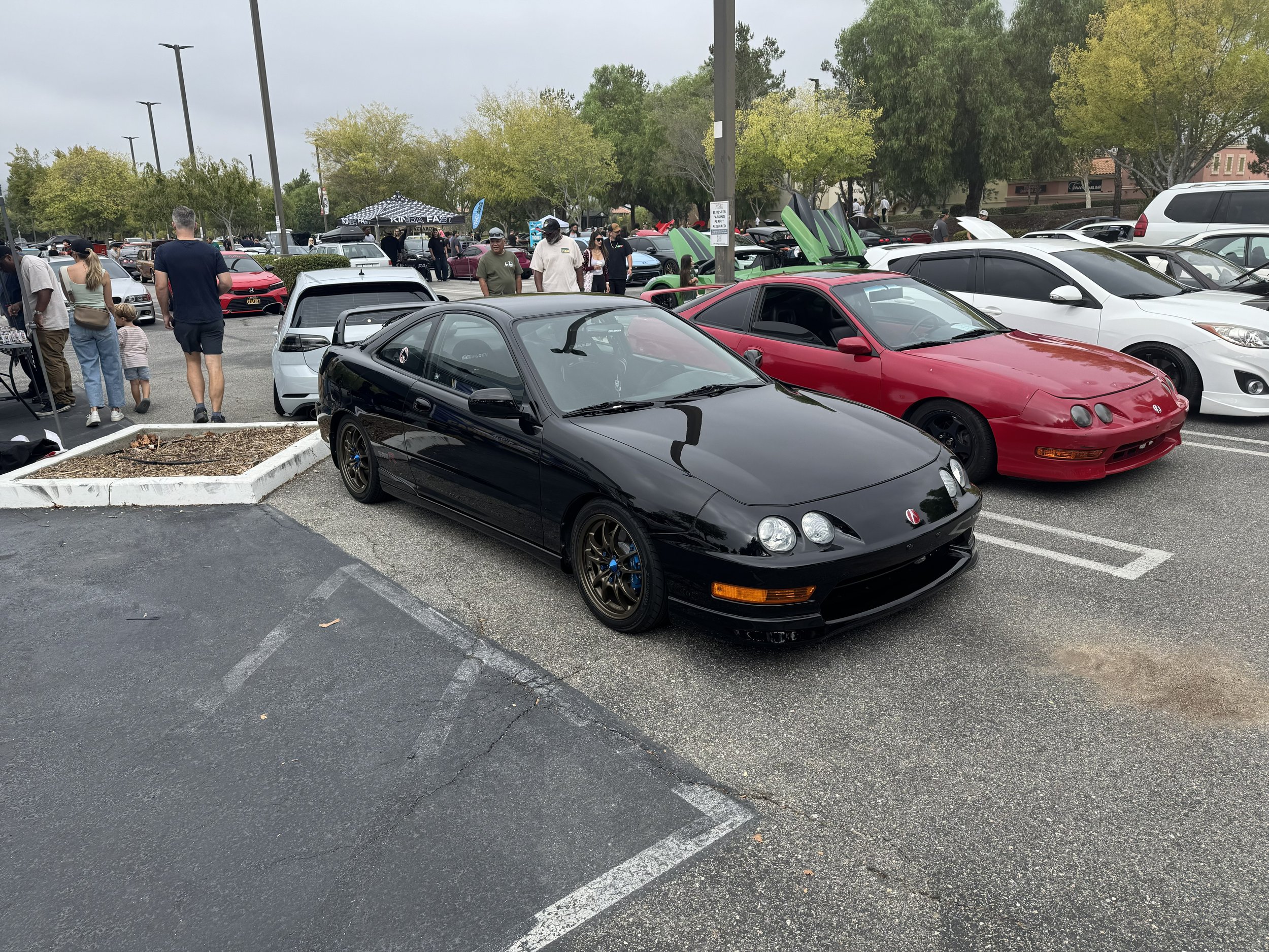 IMG_2600.jpg