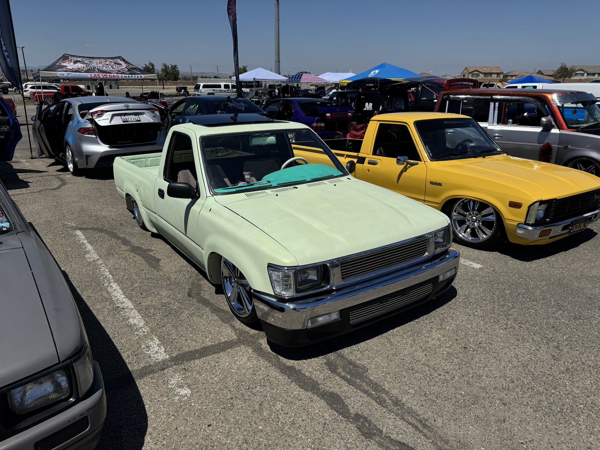 IMG_9524.jpg
