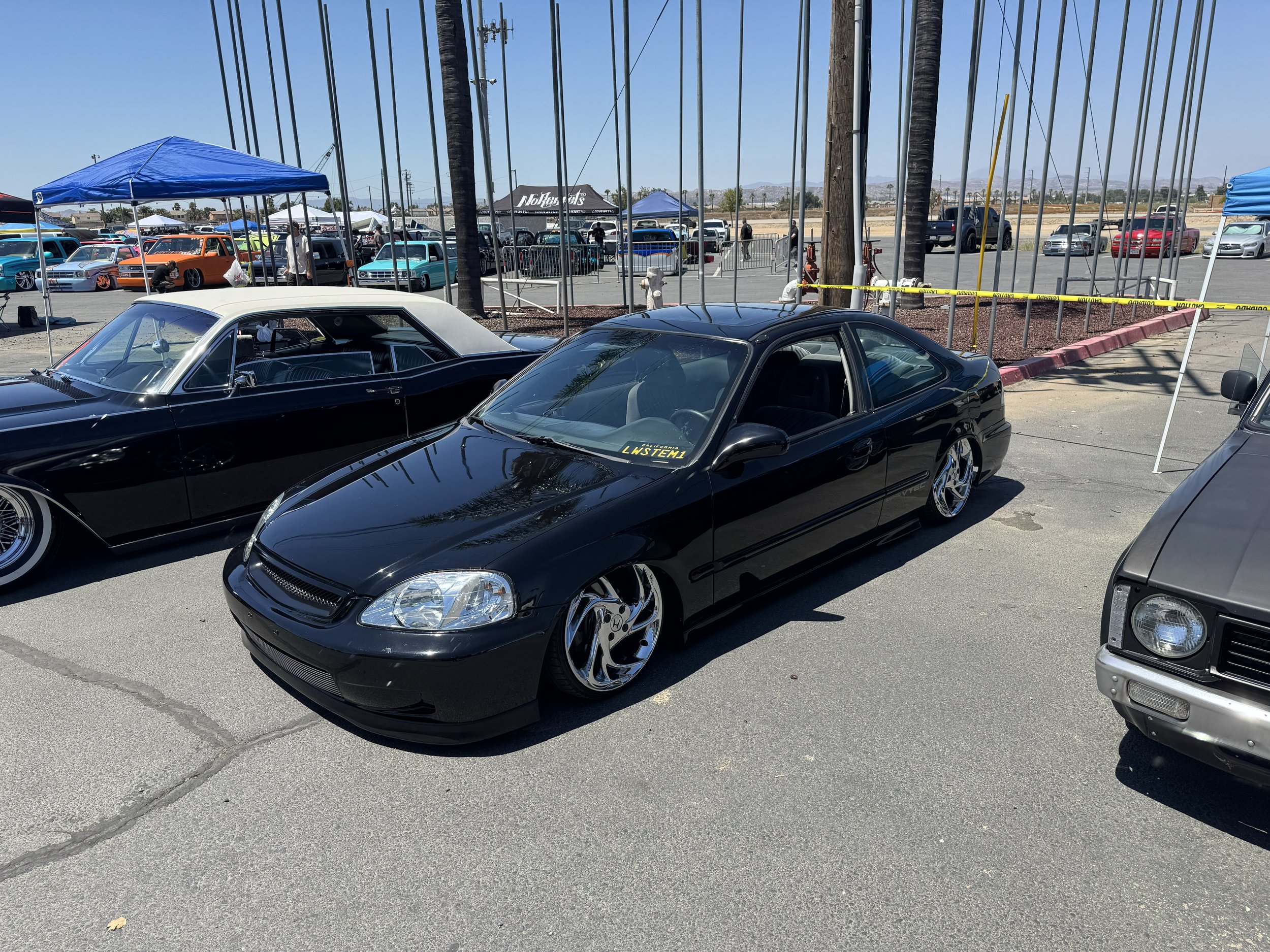 IMG_9618.jpg