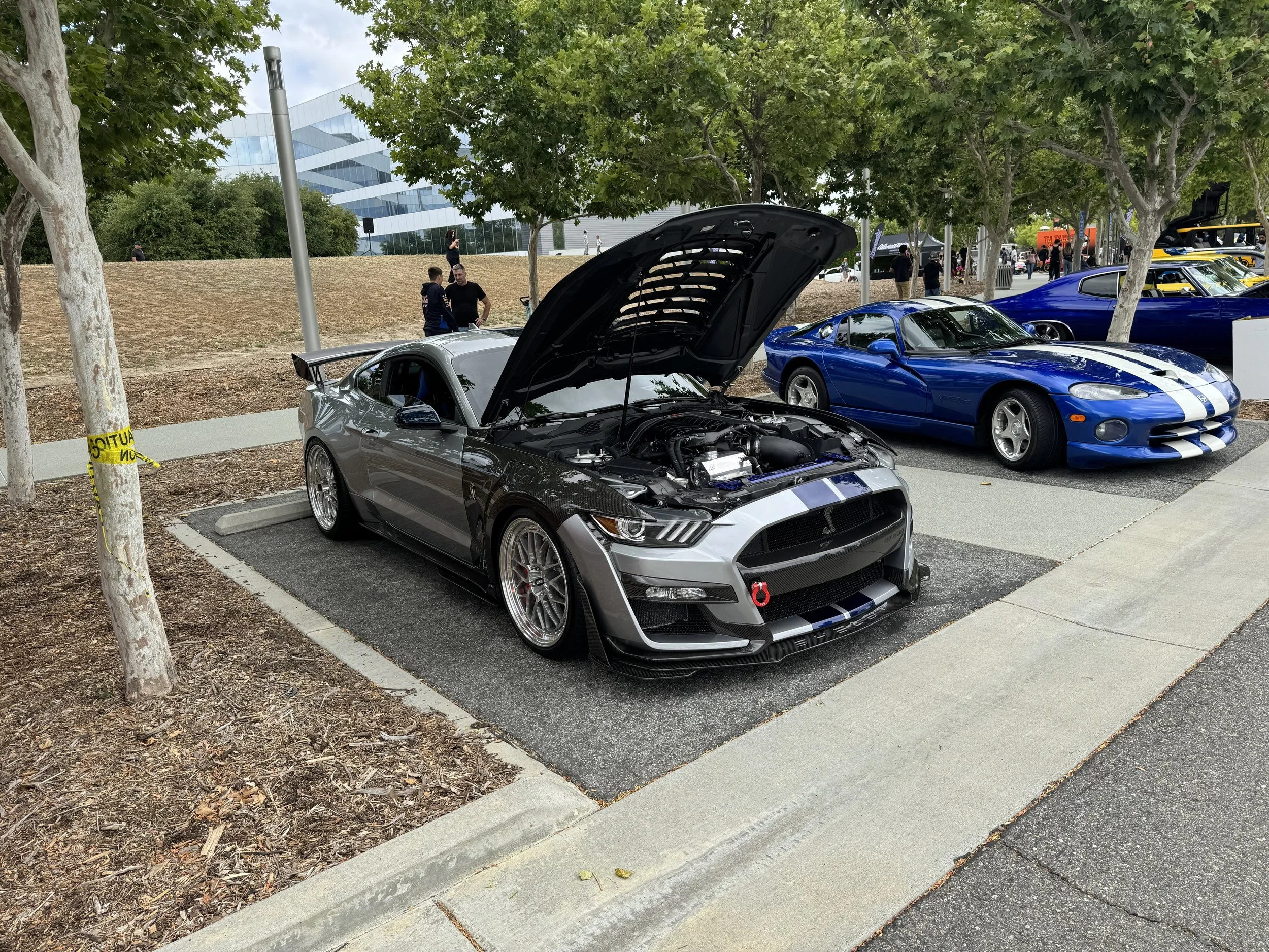 IMG_6167.jpeg