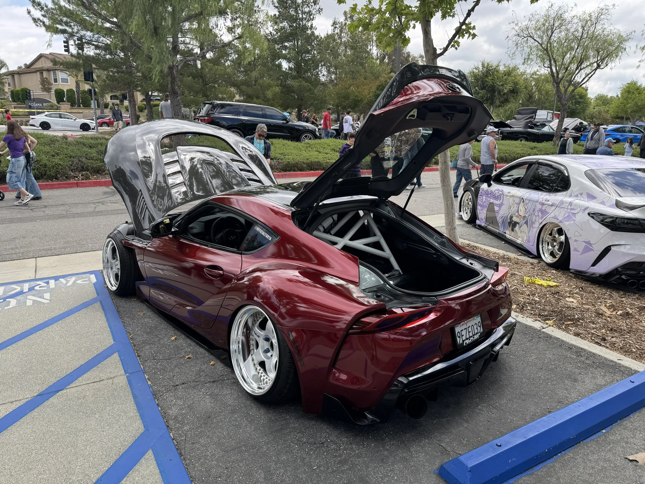IMG_6201.jpeg