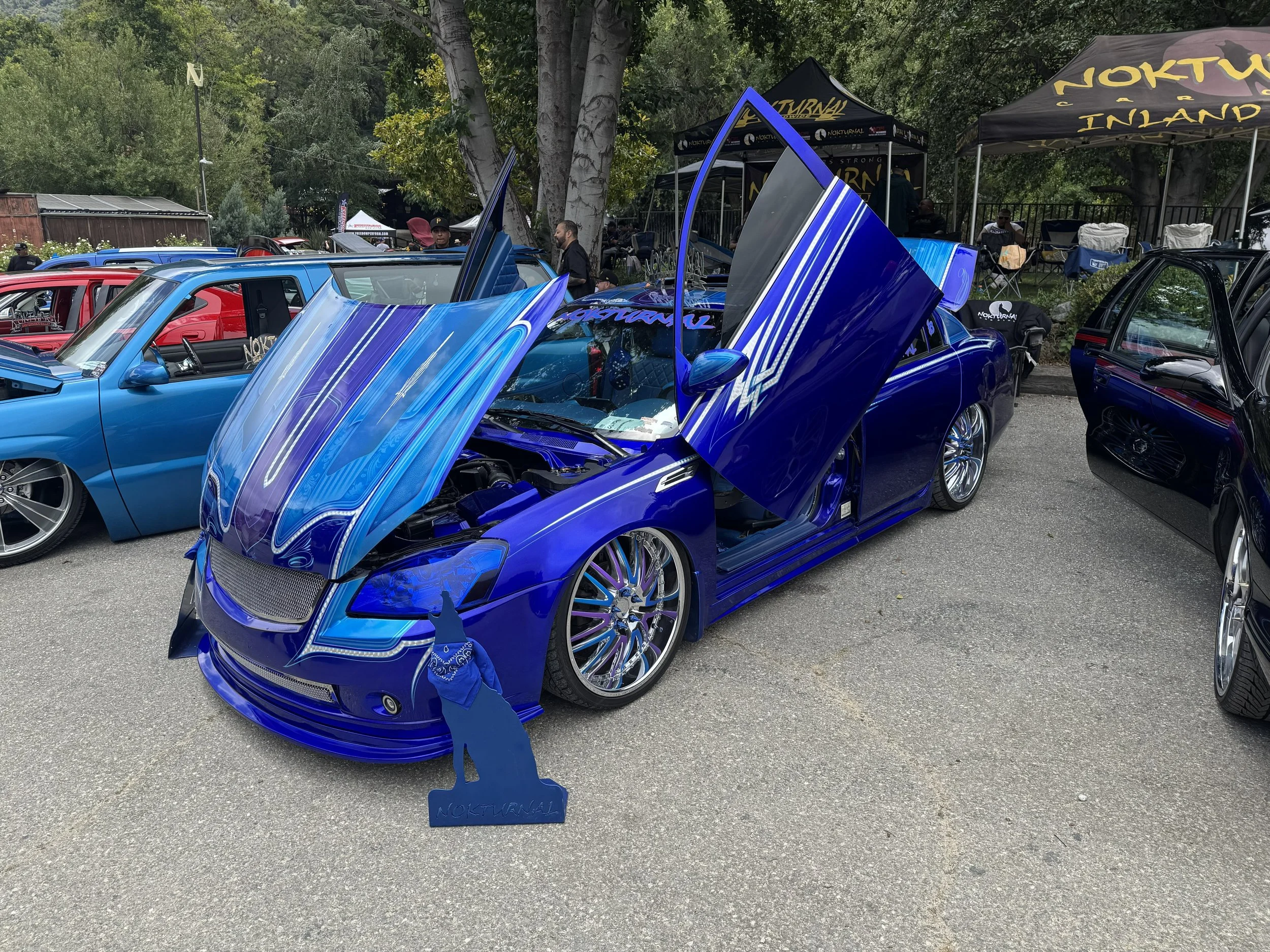 IMG_9733.jpg