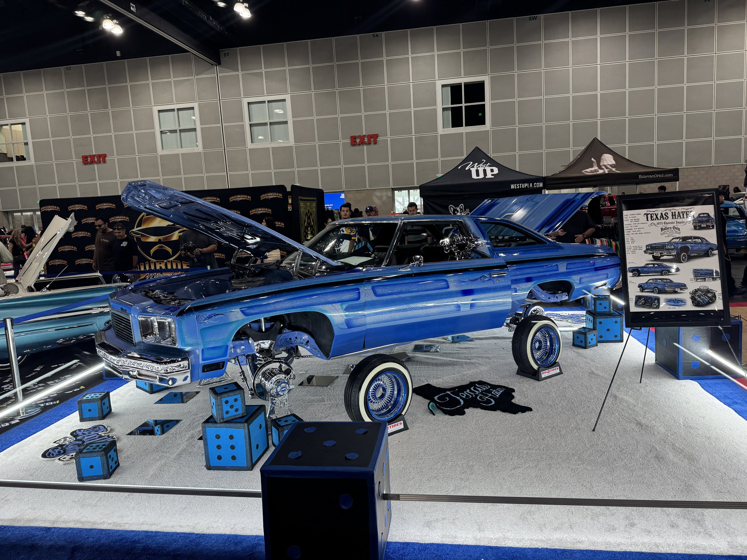 IMG_2204.jpg