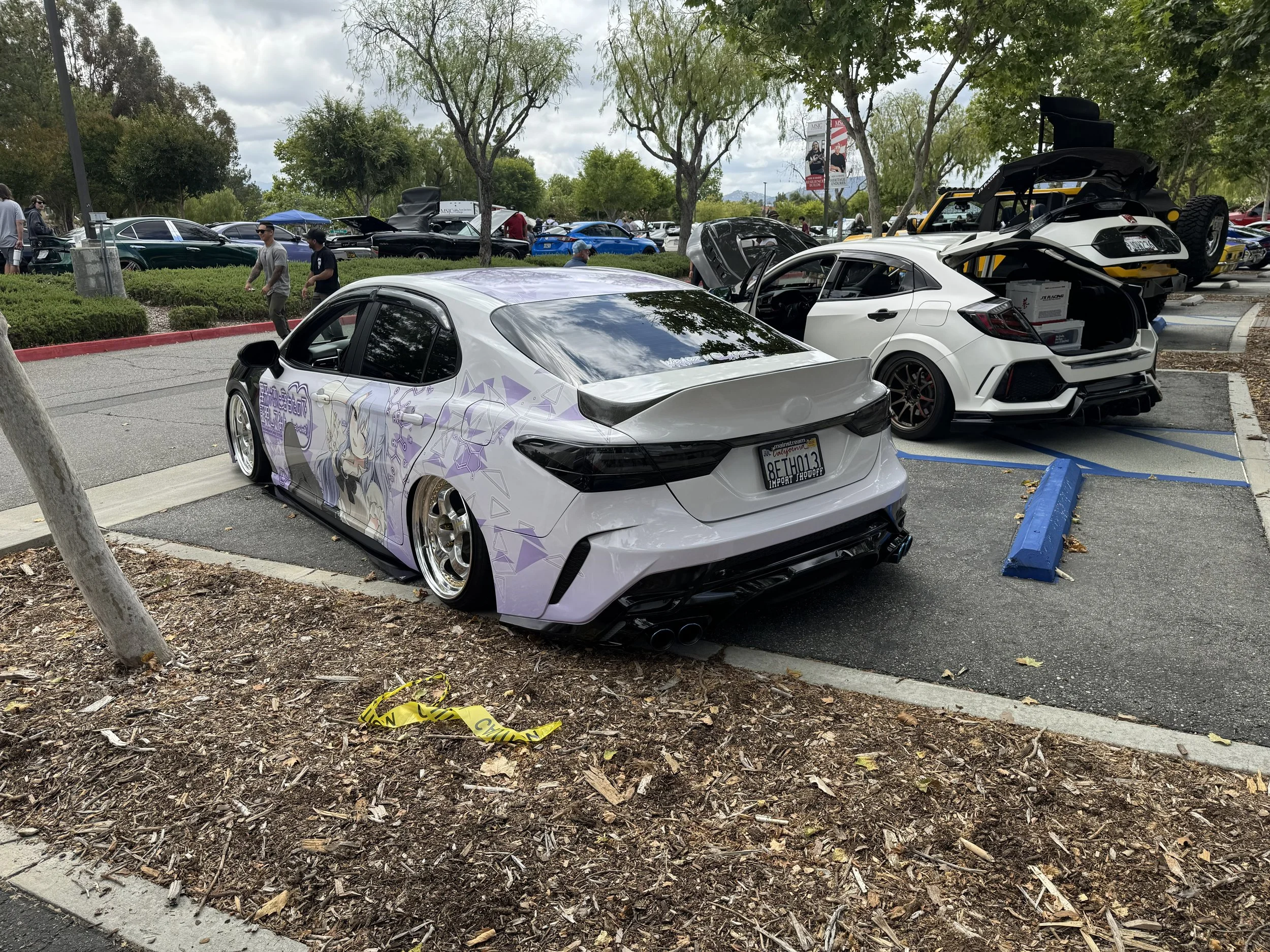 IMG_6203.jpeg