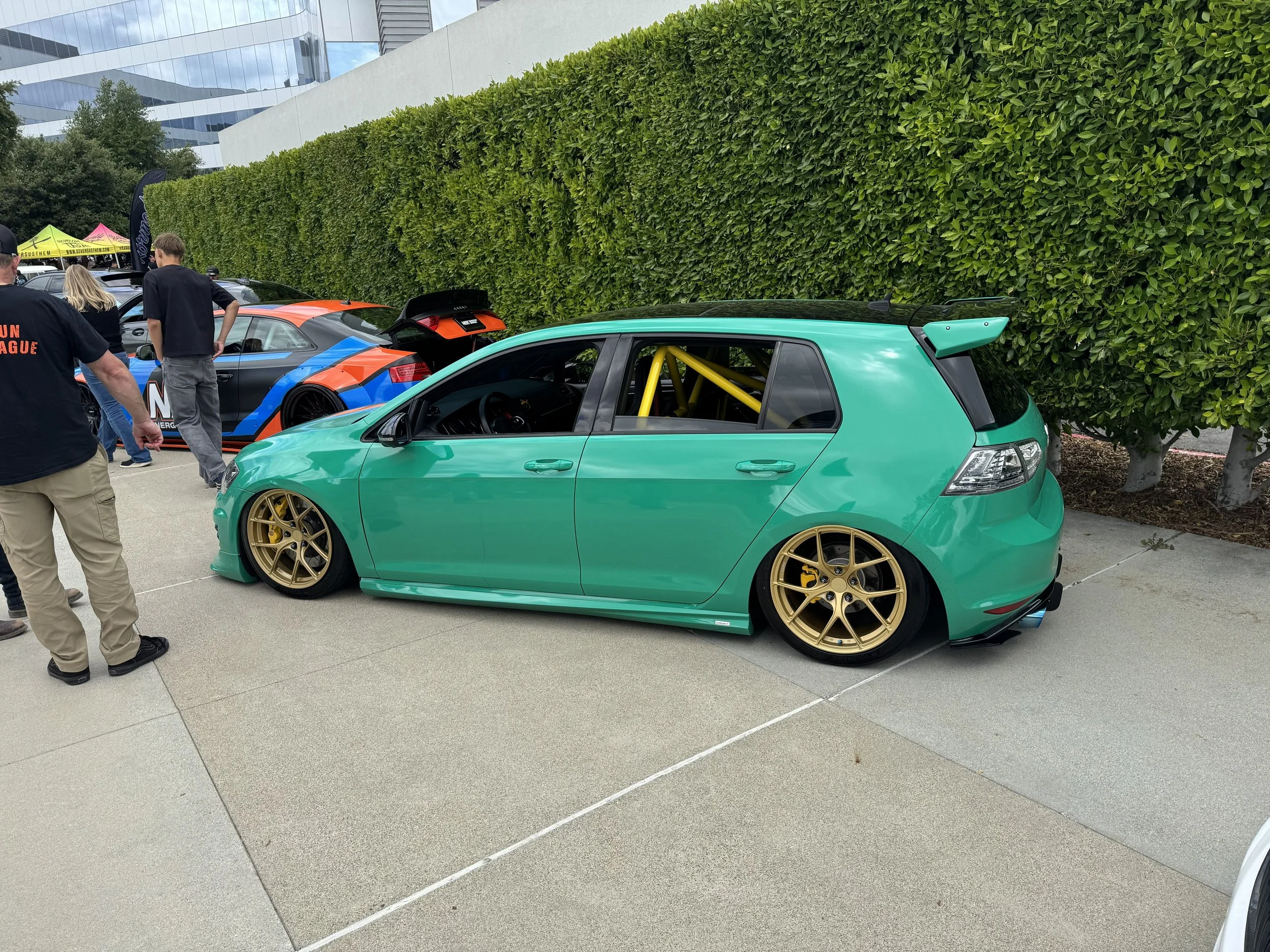 IMG_6181.jpeg