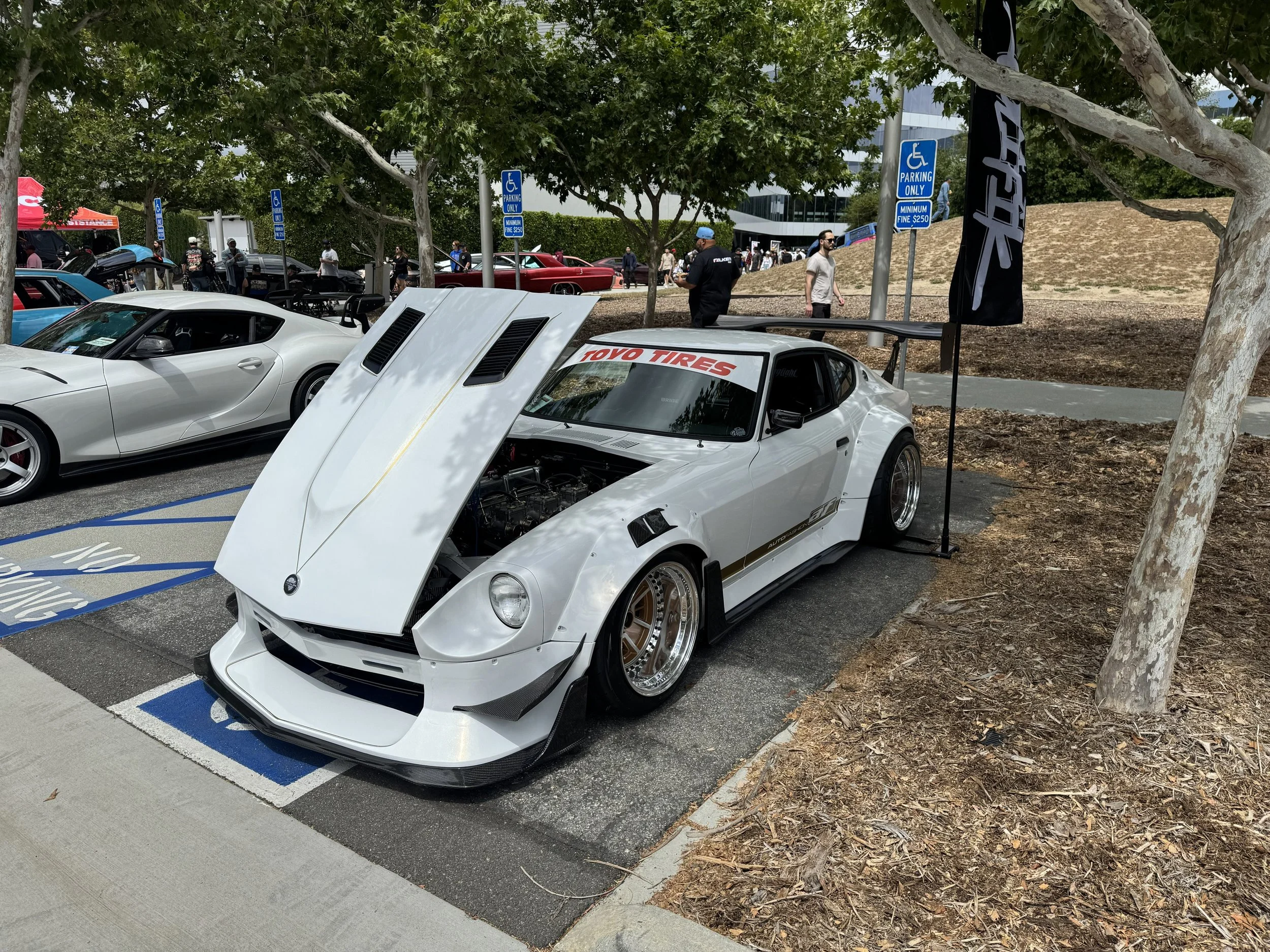 IMG_6090.jpeg