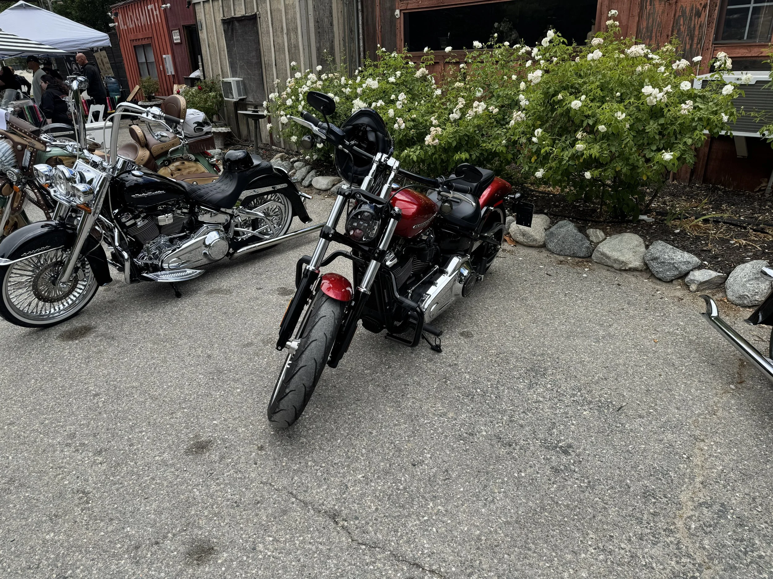 IMG_9771.jpg