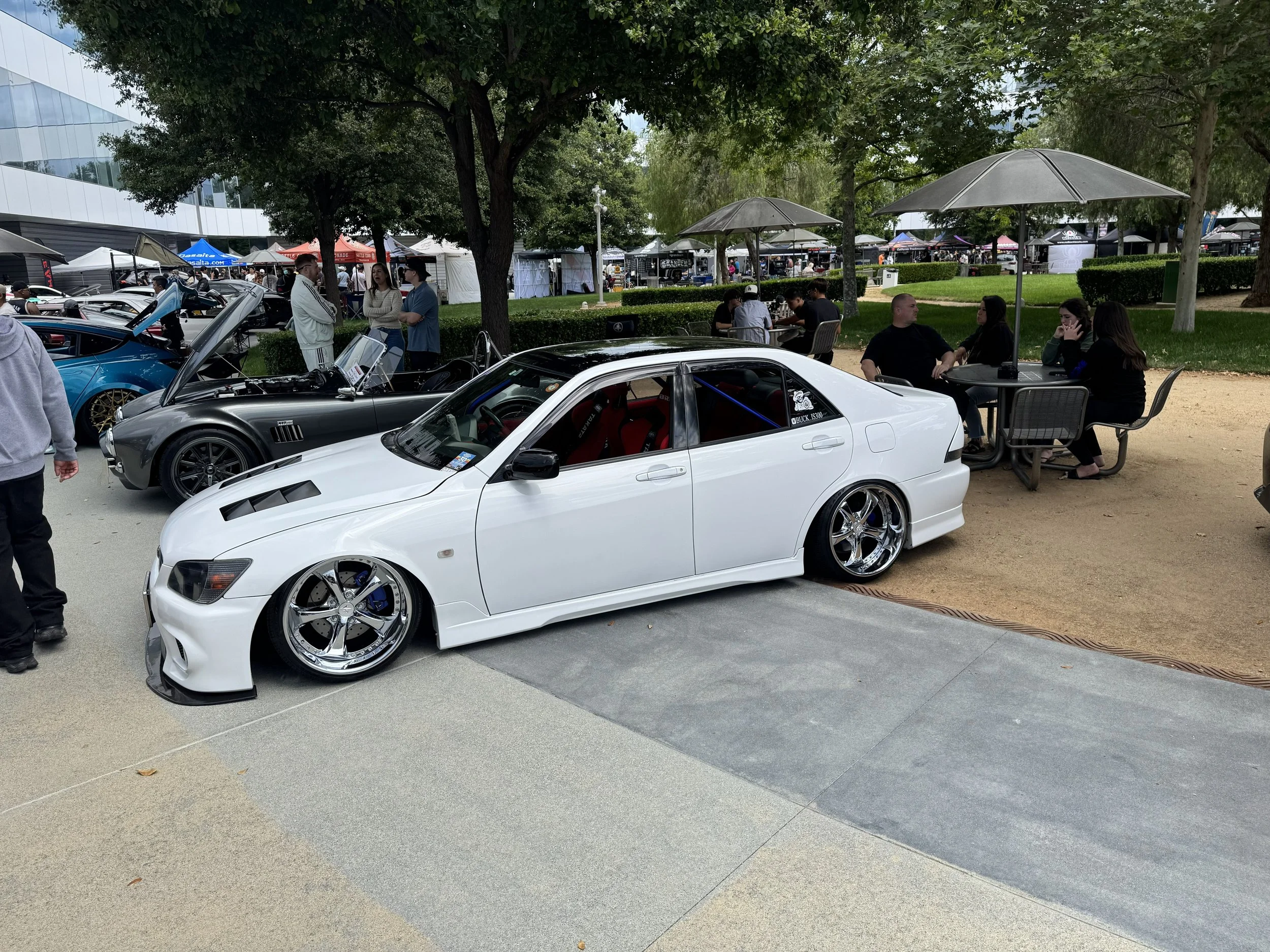 IMG_6117.jpeg