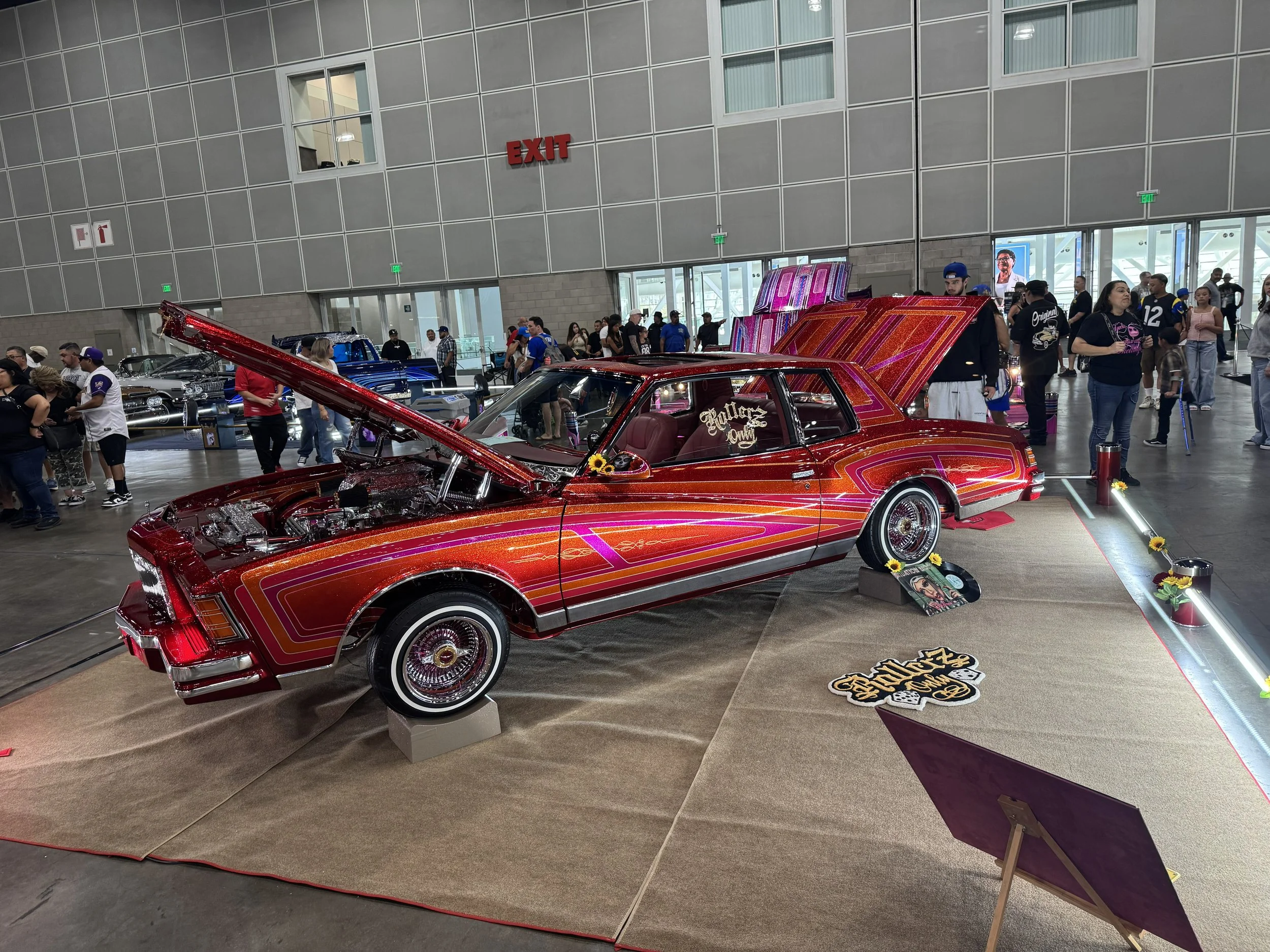 IMG_2202.jpg