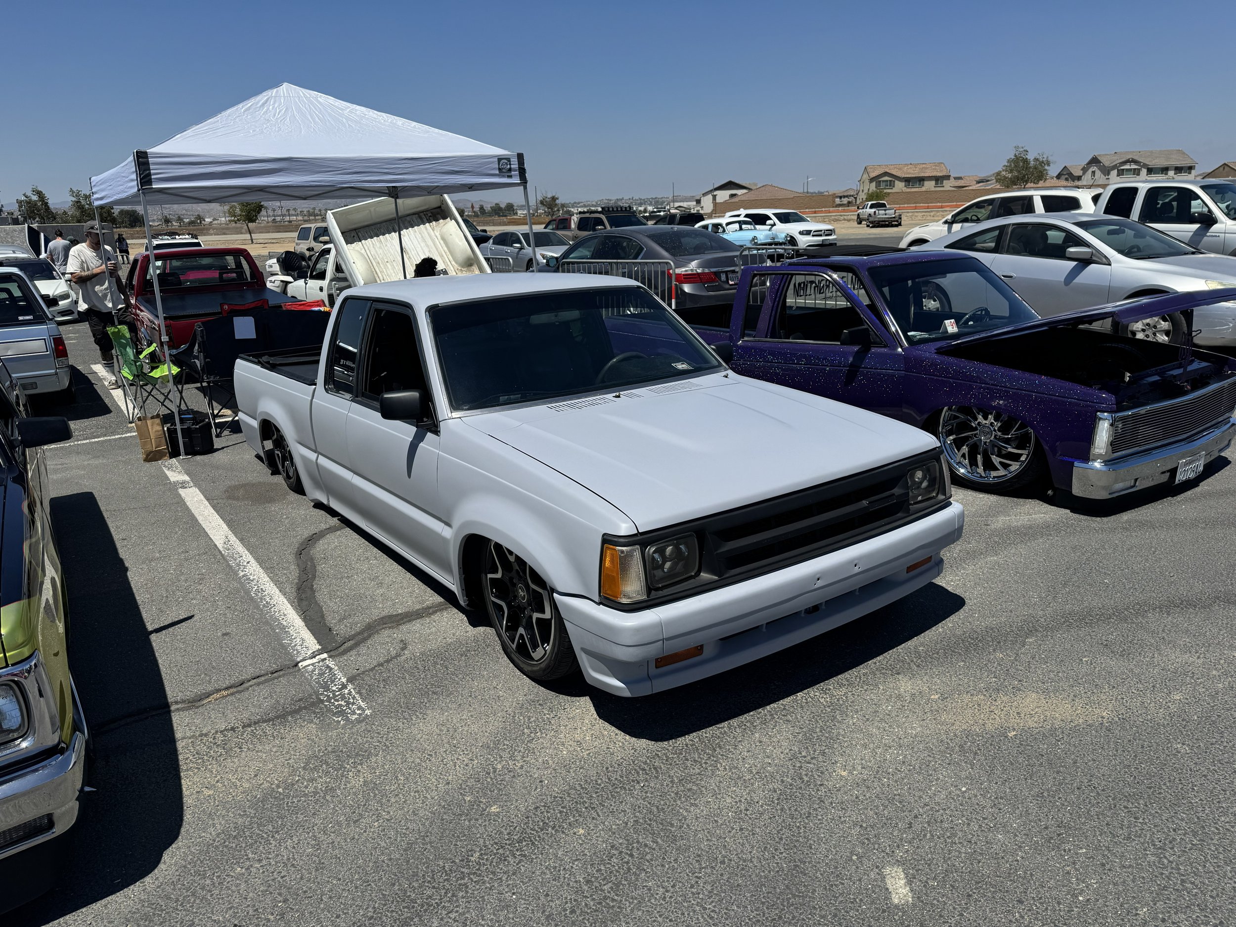 IMG_9585.jpg