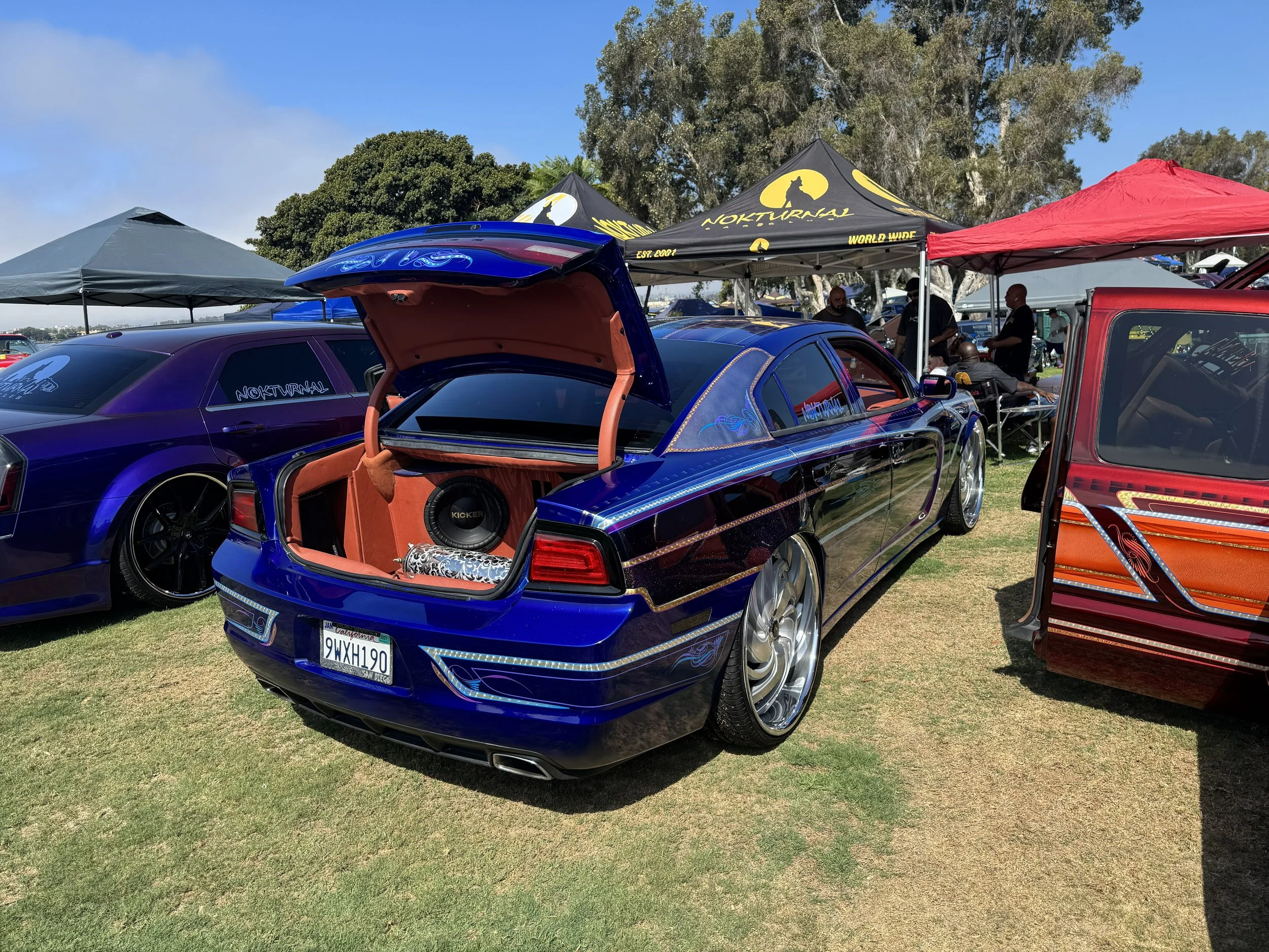 IMG_1972.jpeg
