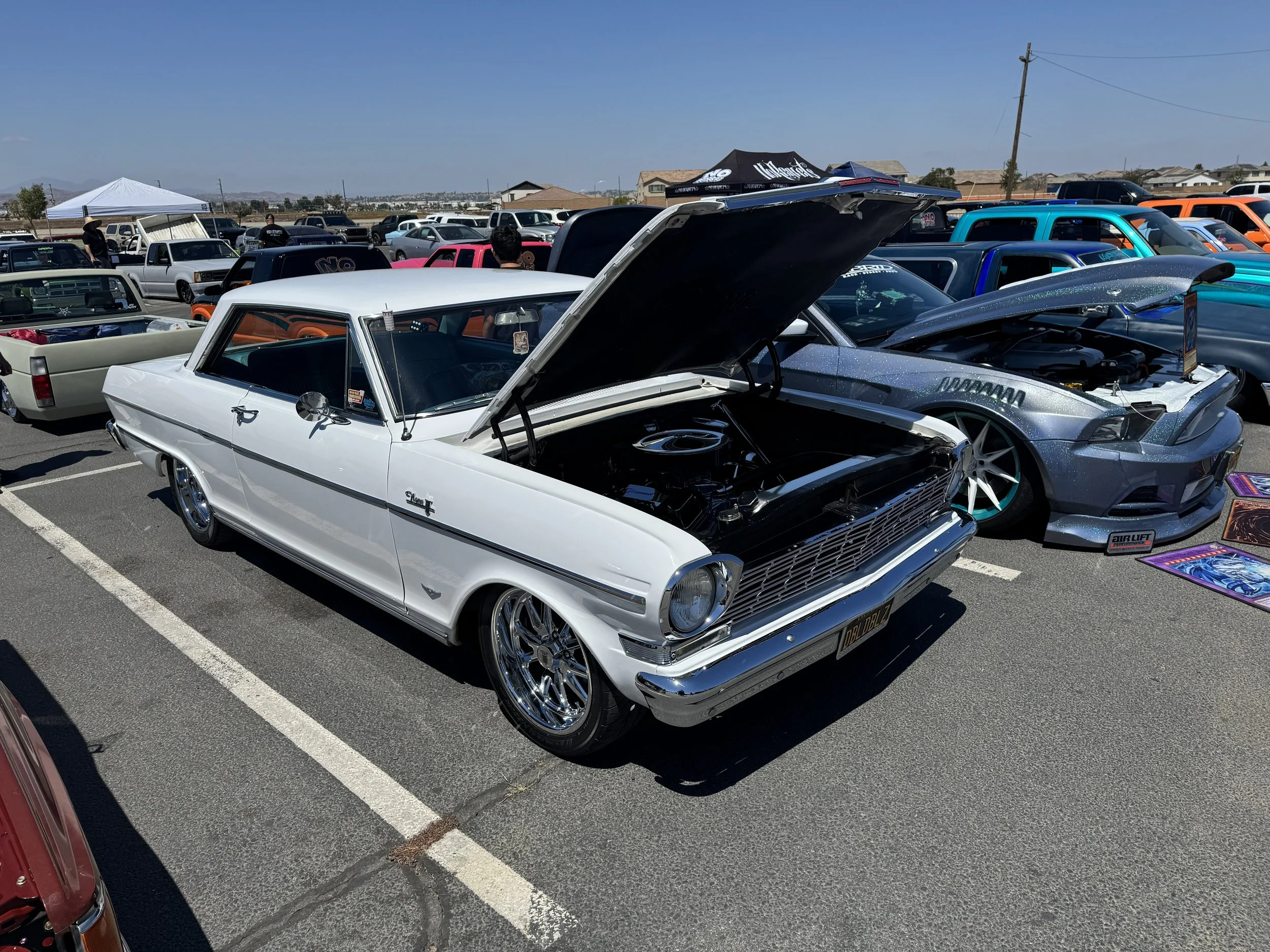 IMG_9475.jpg