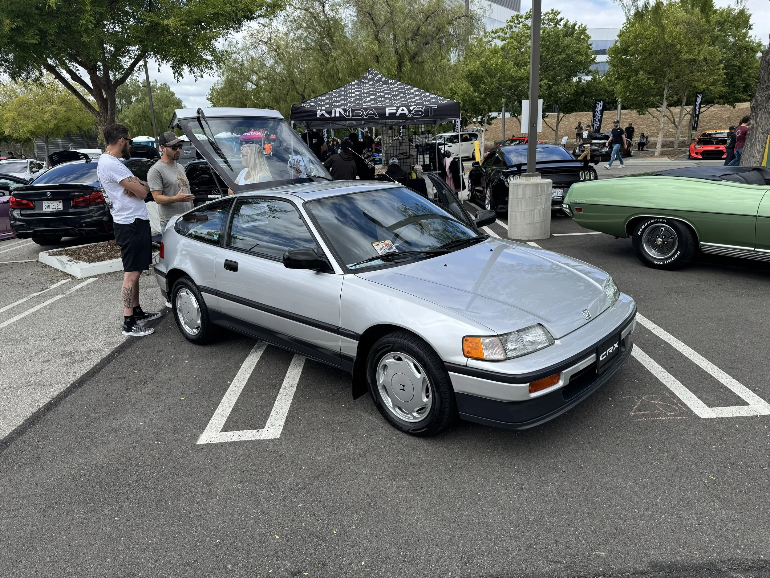 IMG_6207.jpeg
