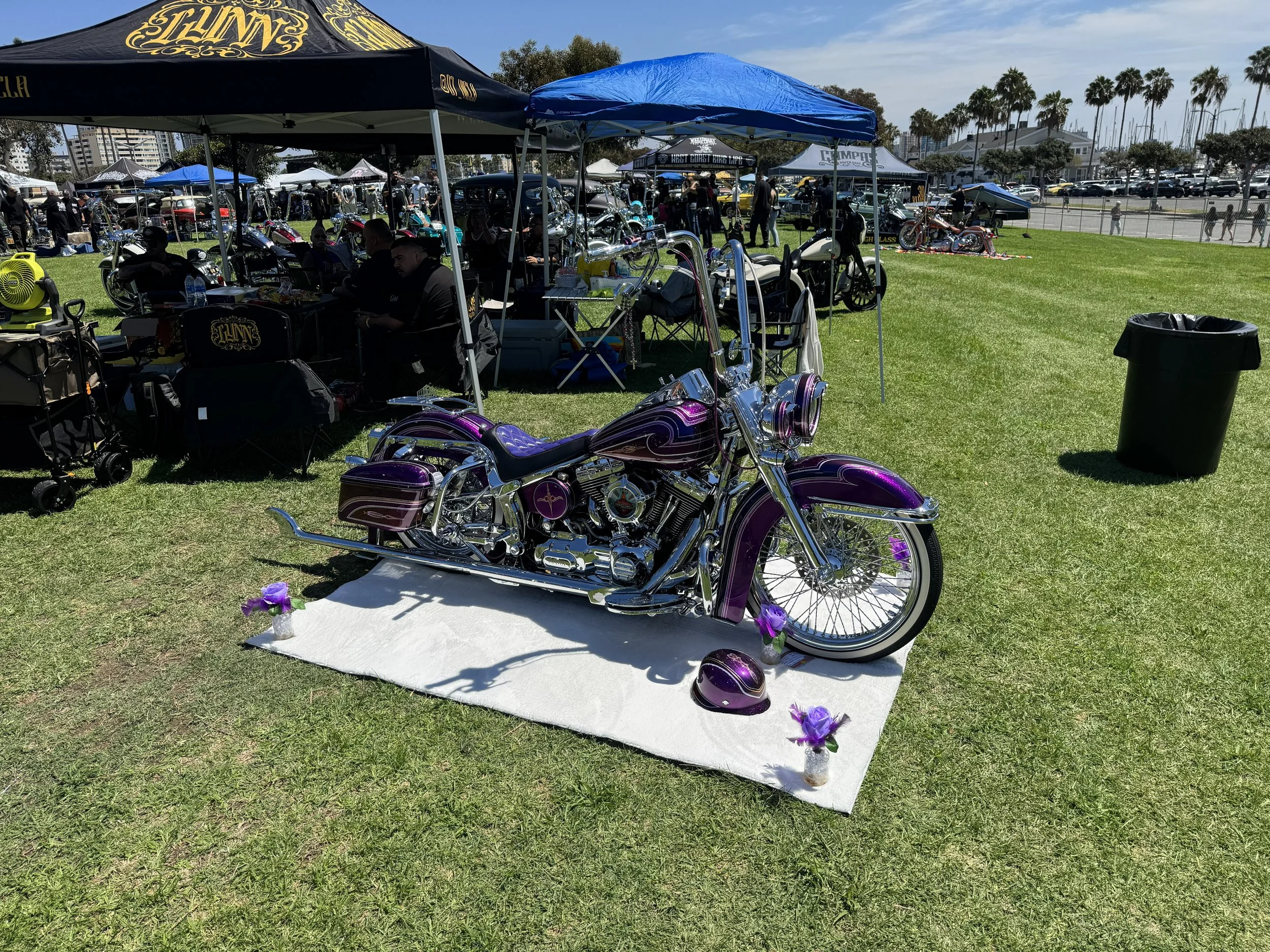 IMG_1855.jpeg