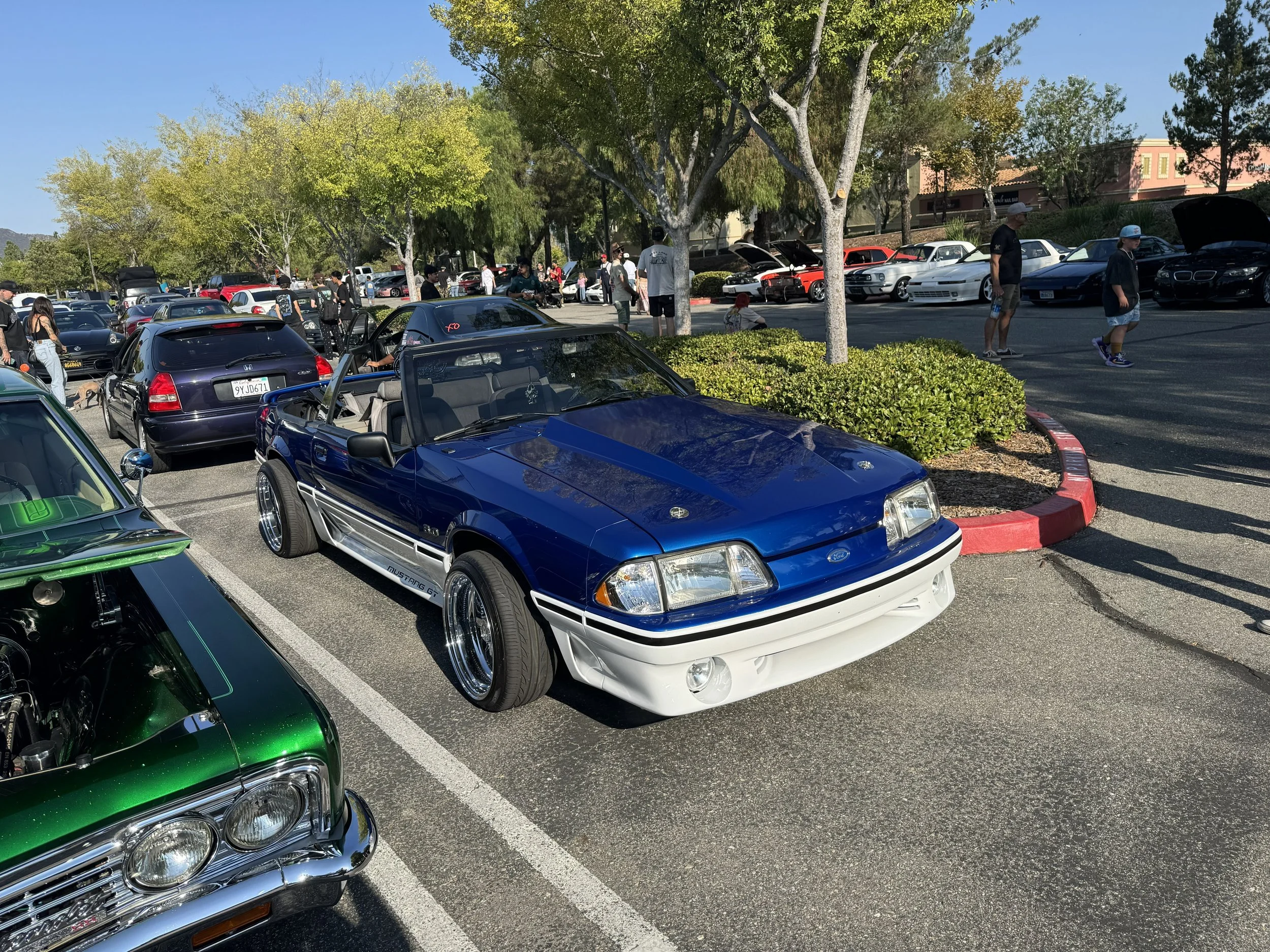 IMG_1456.jpeg