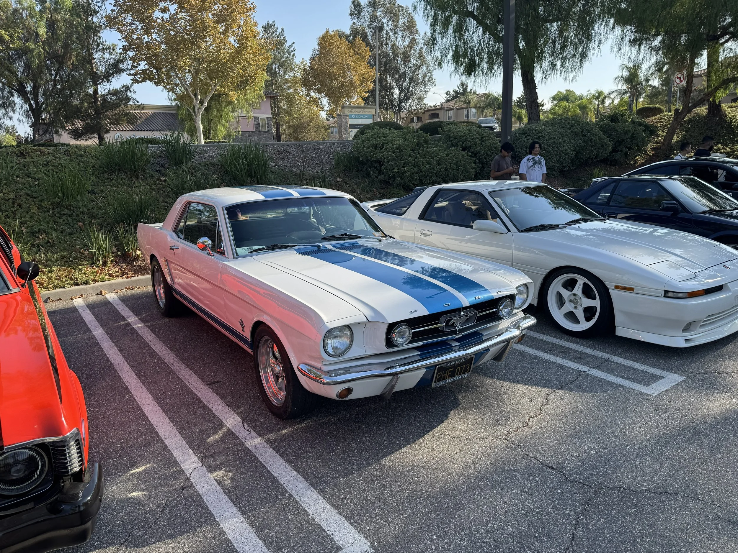IMG_1424.jpeg