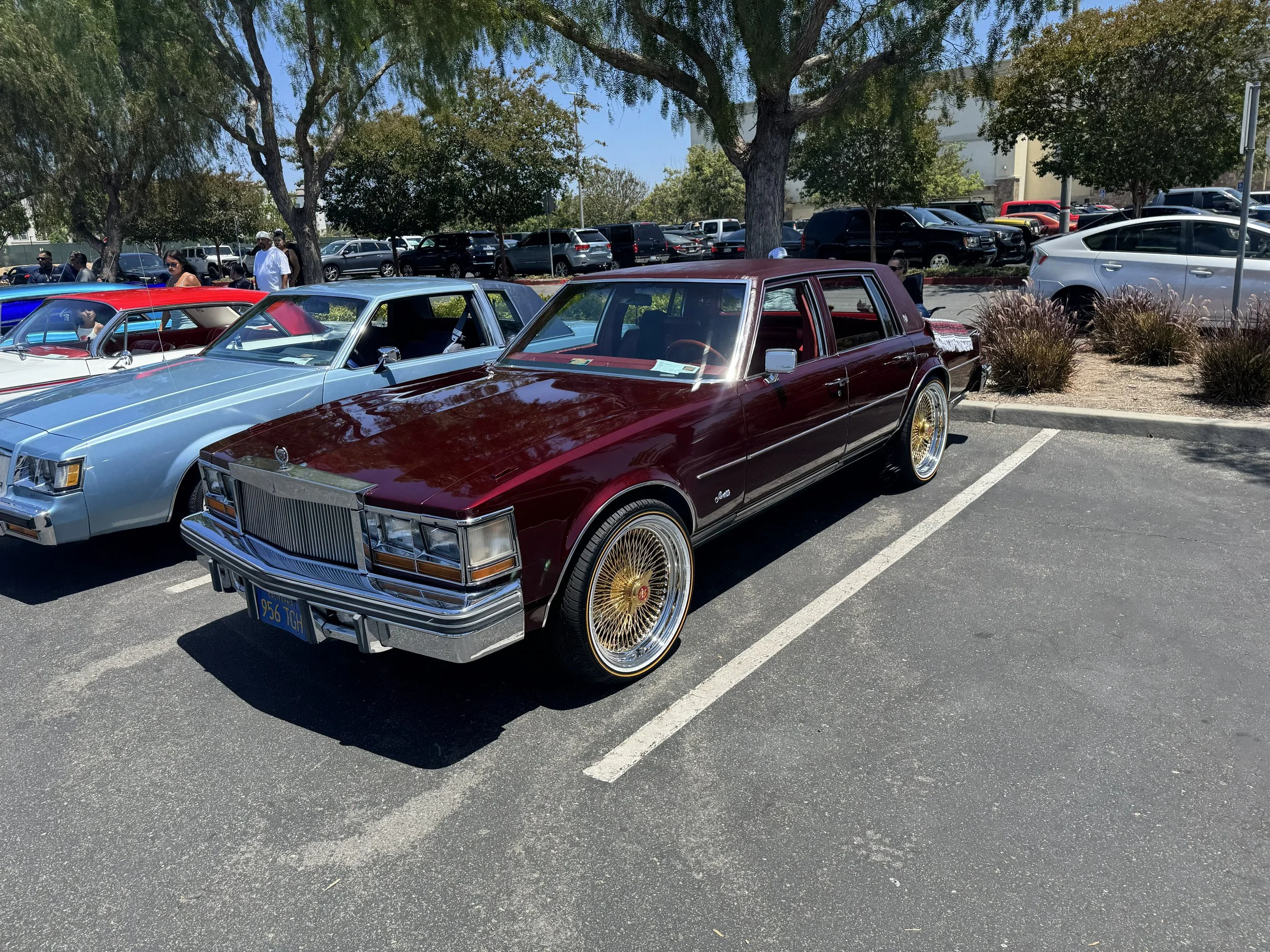 IMG_1076.jpeg