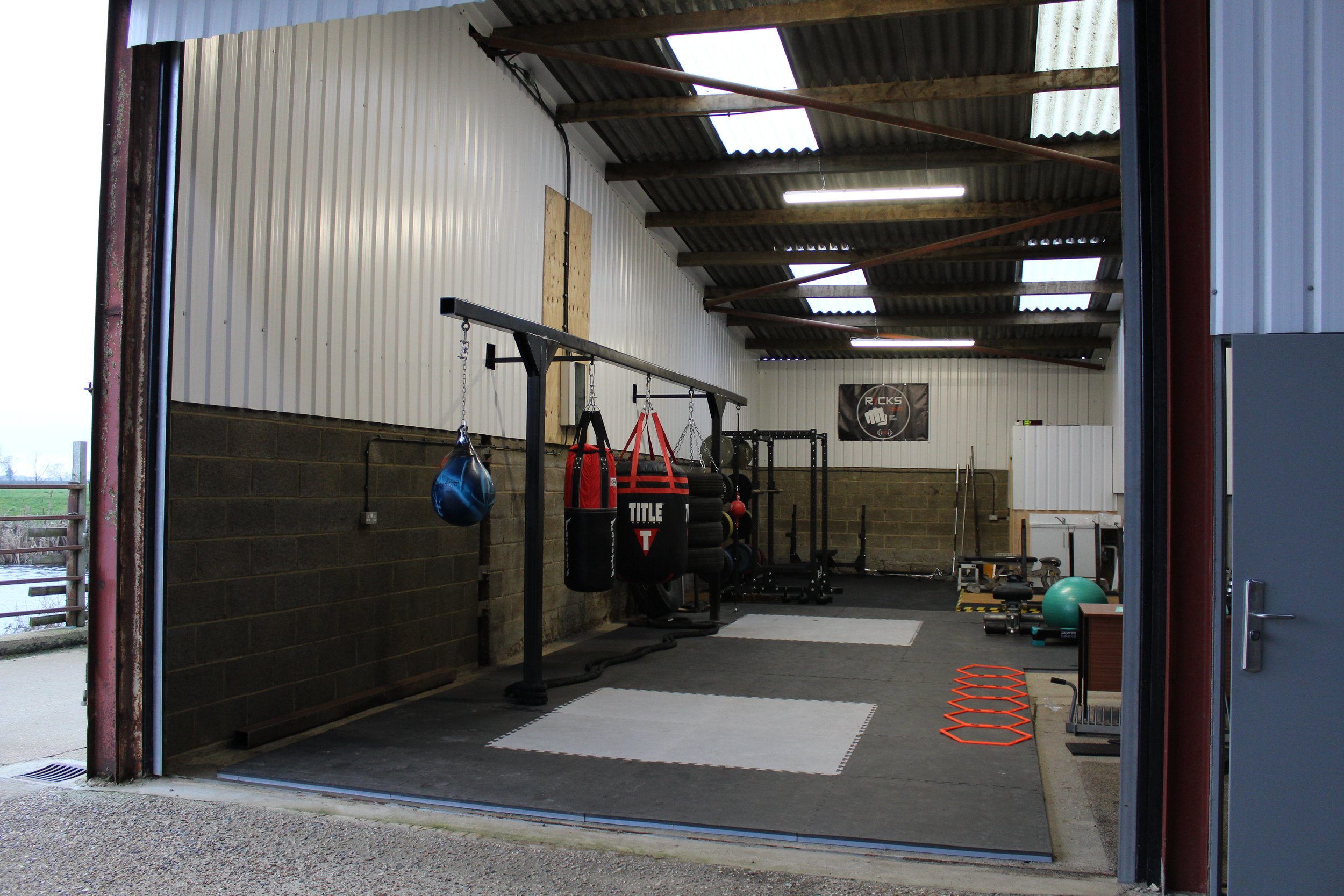 Inside a gym with boxing and workout equipment, including punching bags, a medicine ball, agility ladder, and weight plates.