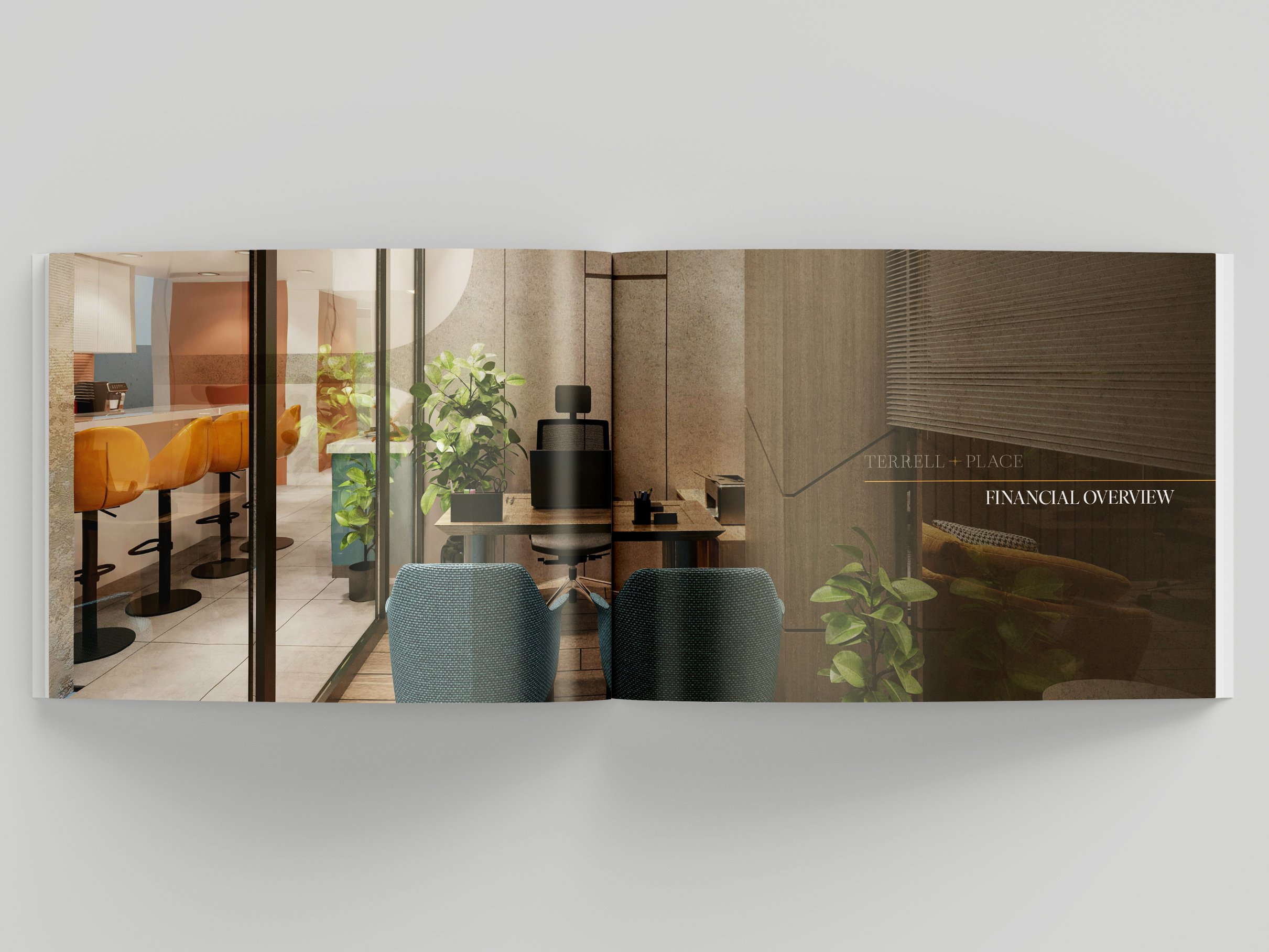 Financial section divider establishing a clear transition into structured operating data, performance metrics, and investment analysis within the offering memorandum.