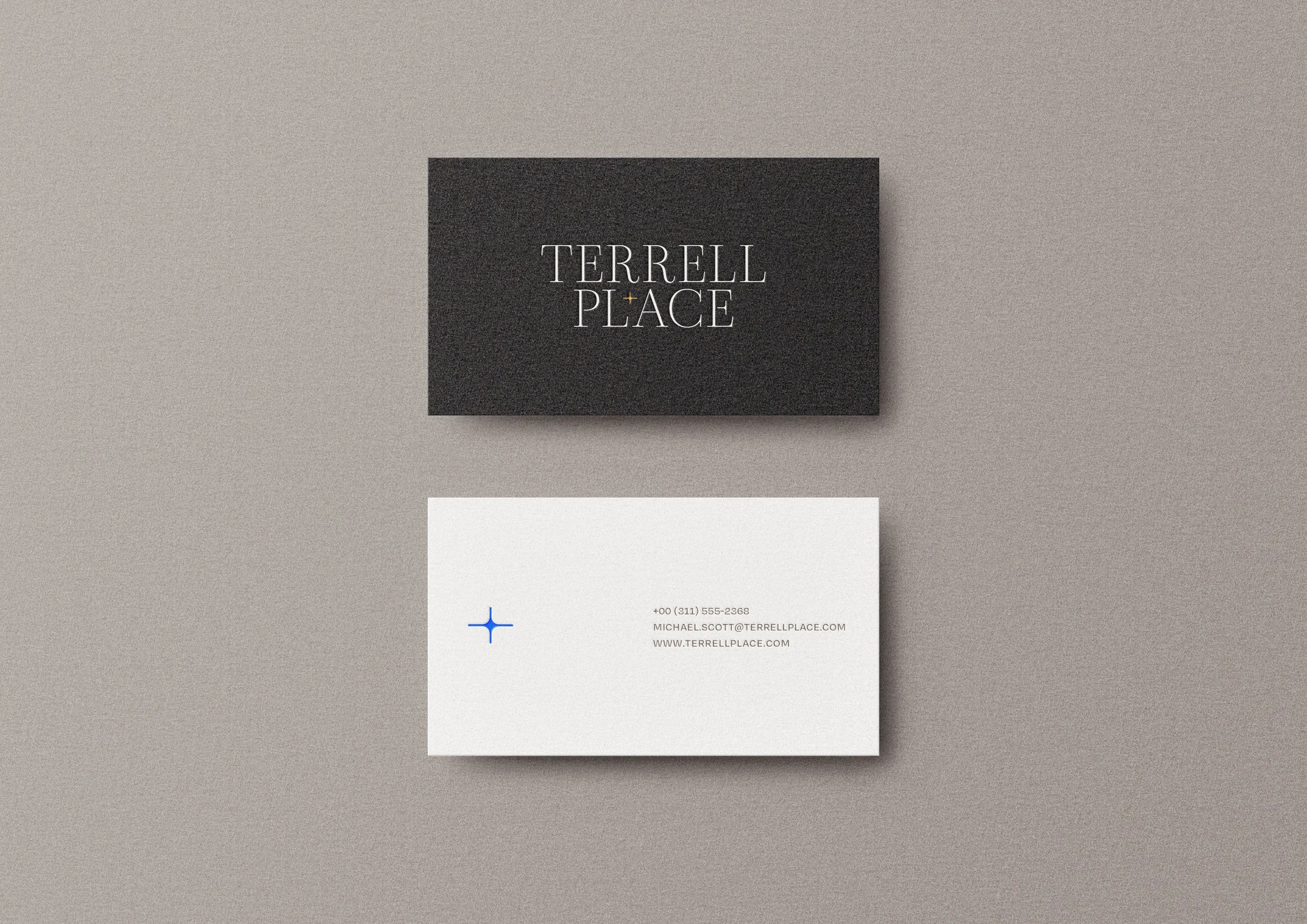 terrellplace logo mockup.jpg