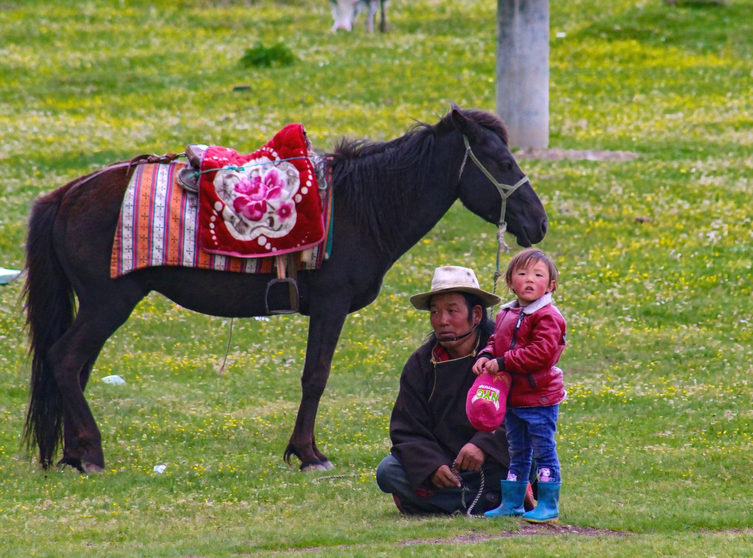 IMG_3466_TIBET.jpg