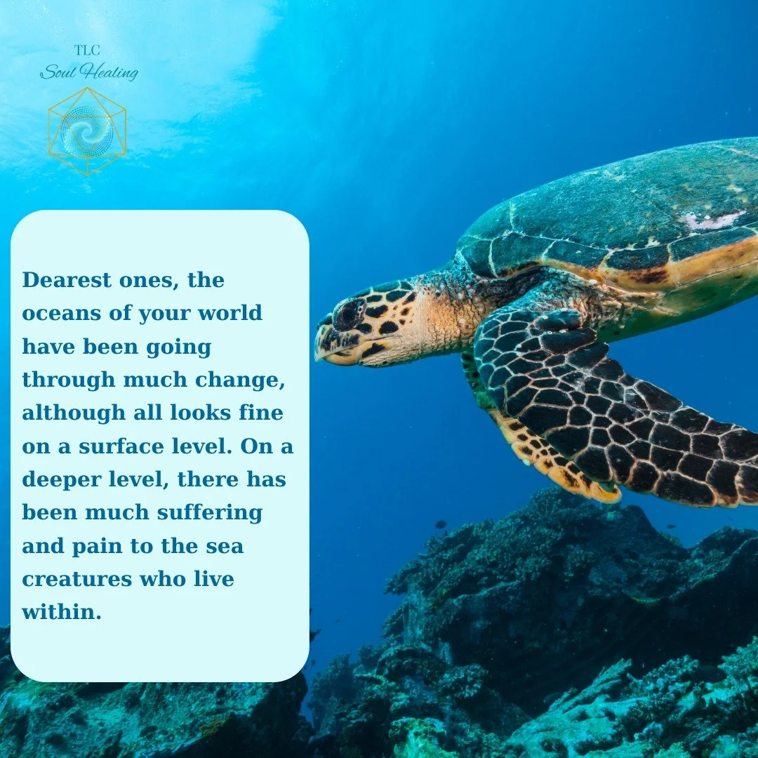 The oceans of your world have been going through much change, although all looks fine on a surface level. On a deeper level, there has been much suffering and pain to the sea creatures who live within.

As Mother Gaia&rsquo;s consciousness rises, she