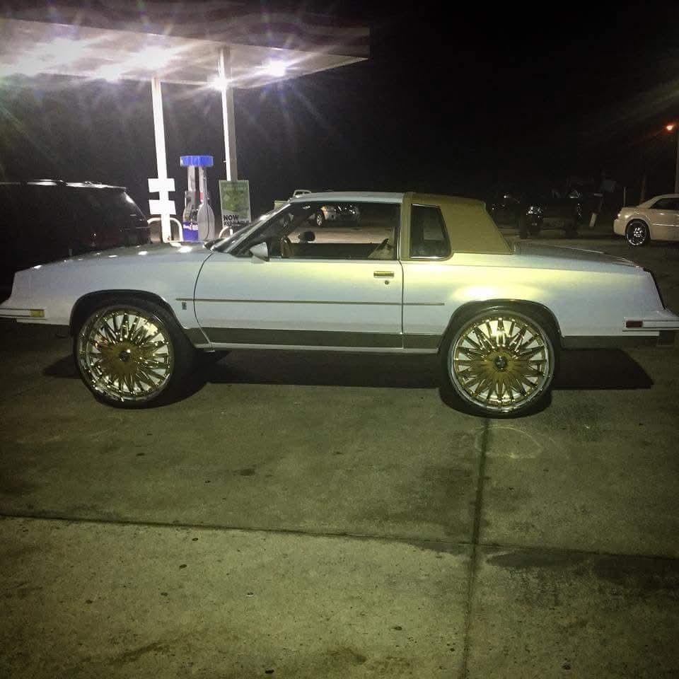 White with Gold Pearl Kit