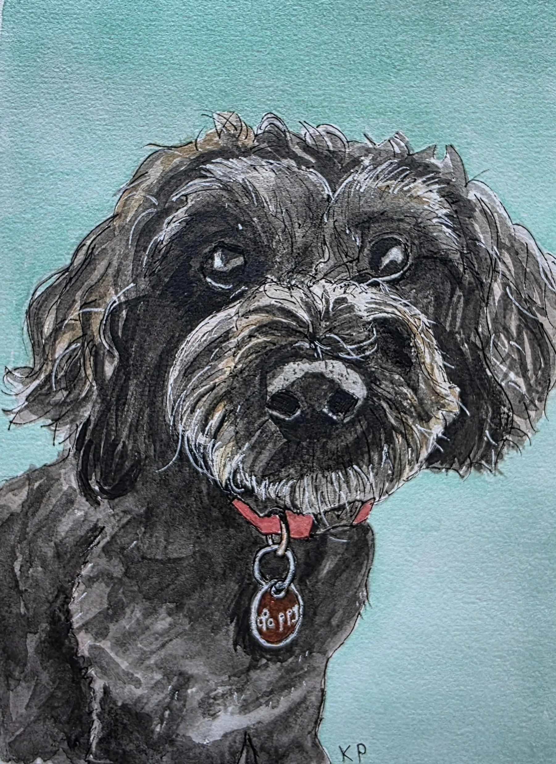Small black dog with curly coat in pen and watercolour