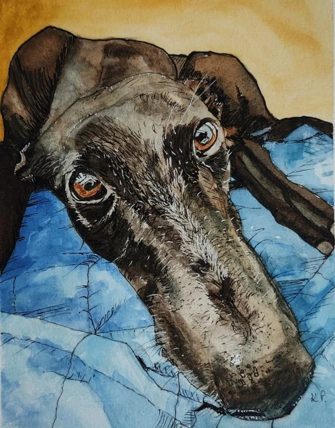 Greyhound