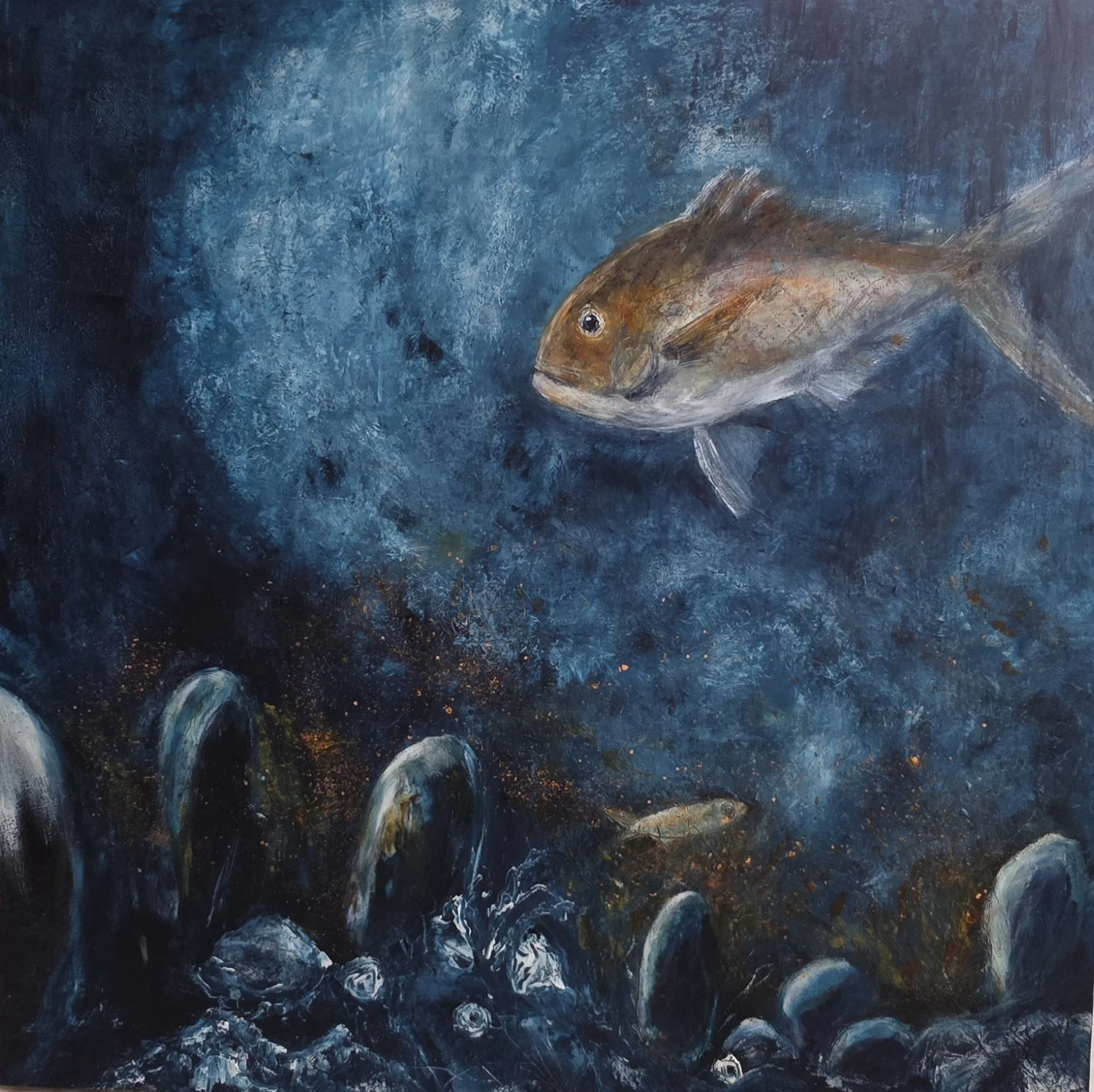 The Catch of the Day