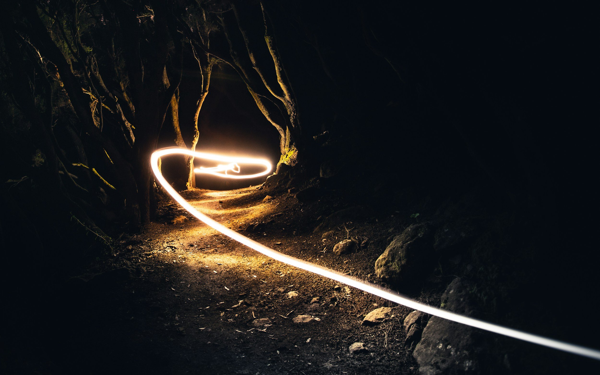 A dark forest scene with a dirt path illuminated by a swirling trail of light, possibly a long exposure photograph of moving light source.