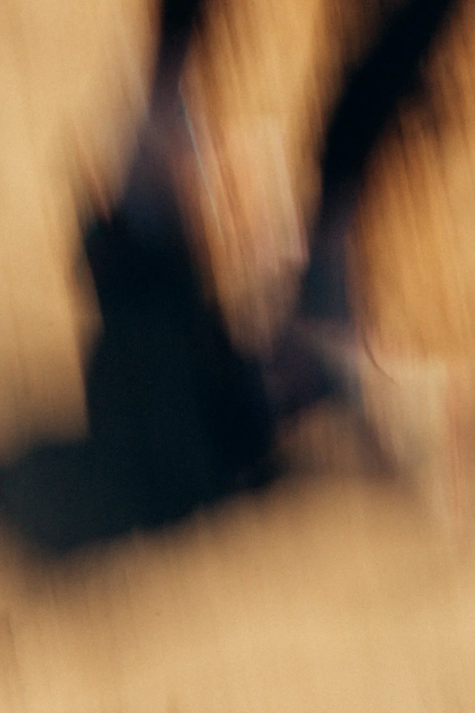 1A5A1386.jpg