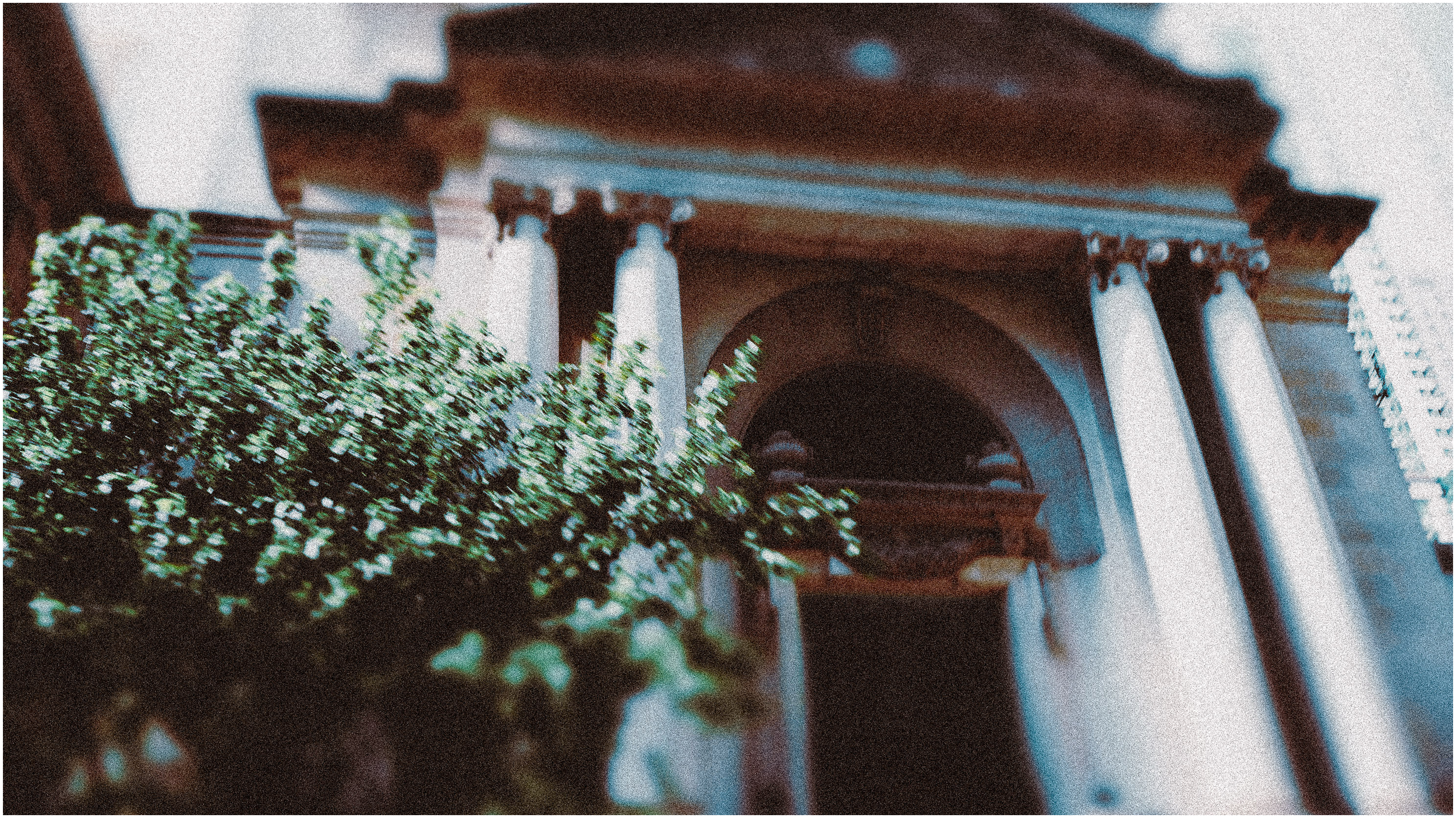 IMG_7185.png