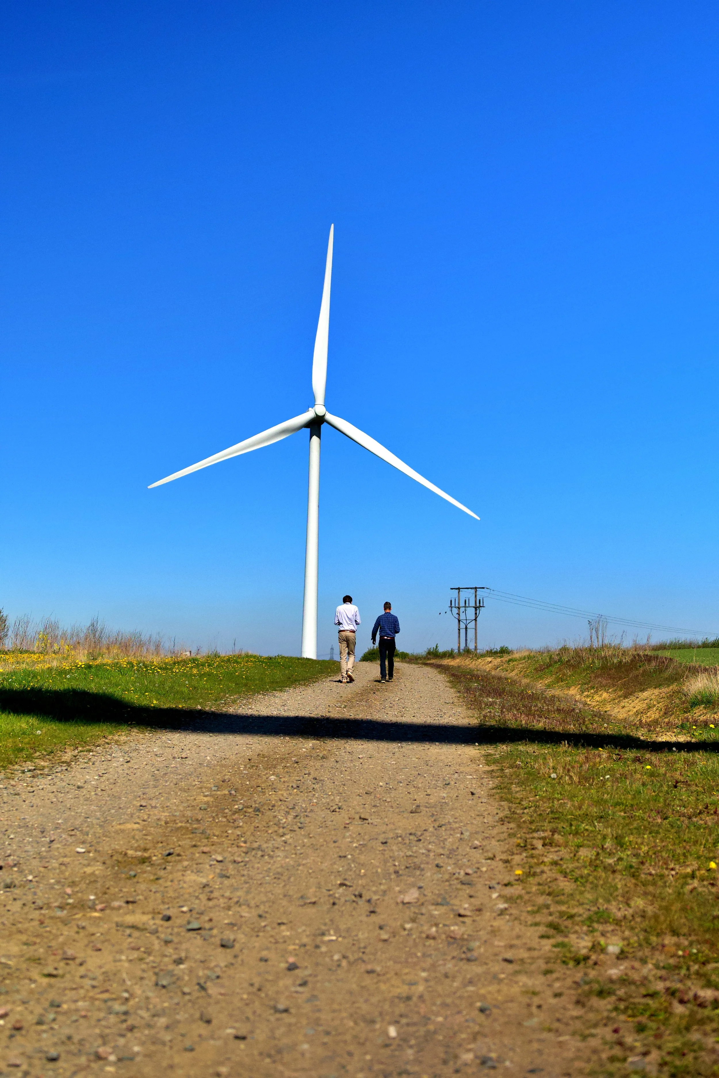 Co-founders walking towards windturbine