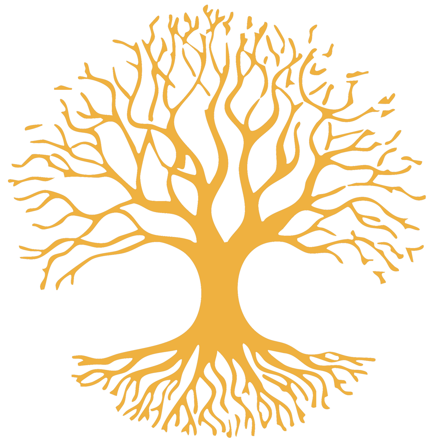 JOHN DAVID HANNA, author