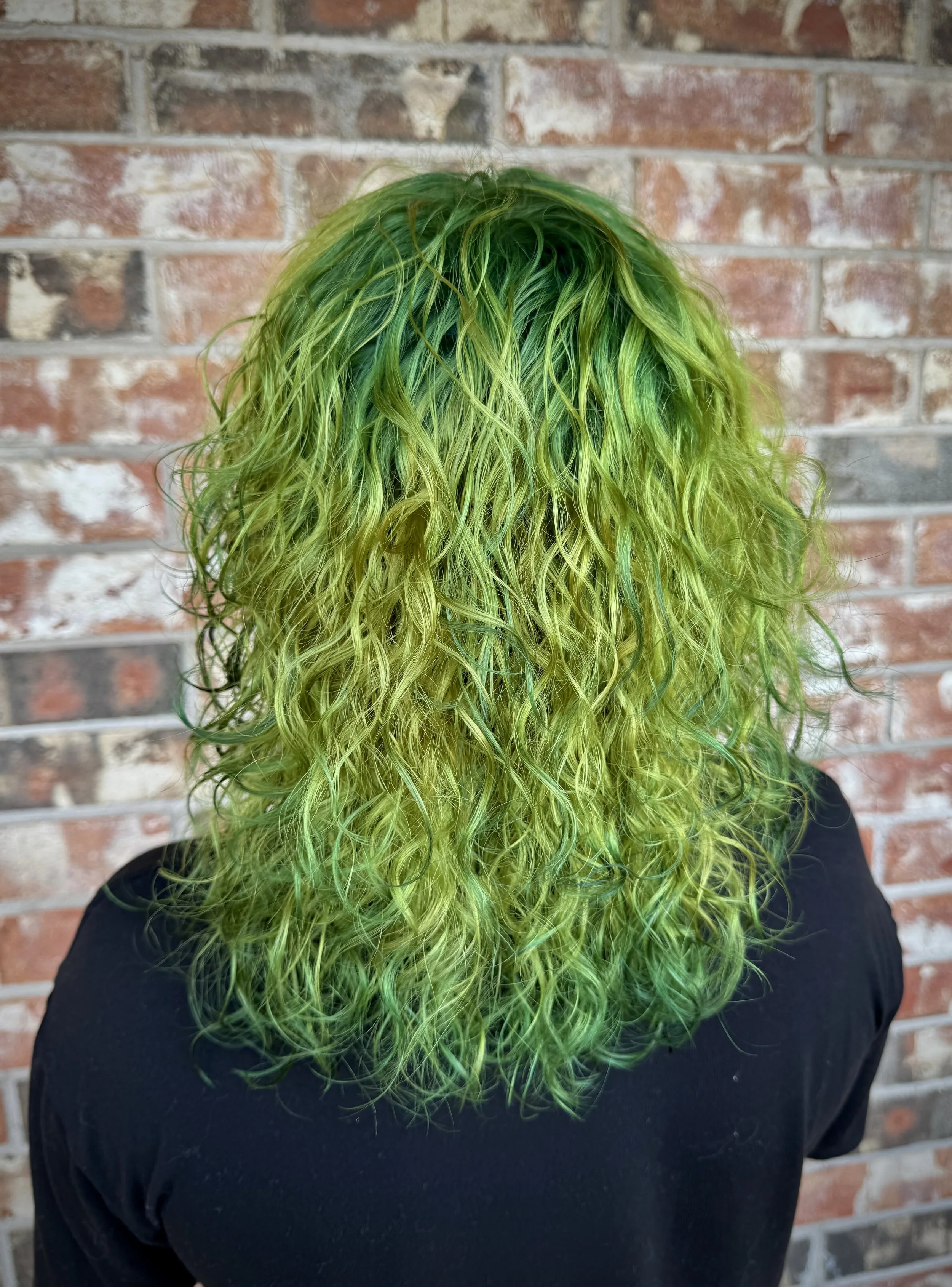 person with curly medium-length hair inspired by Elphaba from Wicked. vibrant green roots and tips and lighter green mids