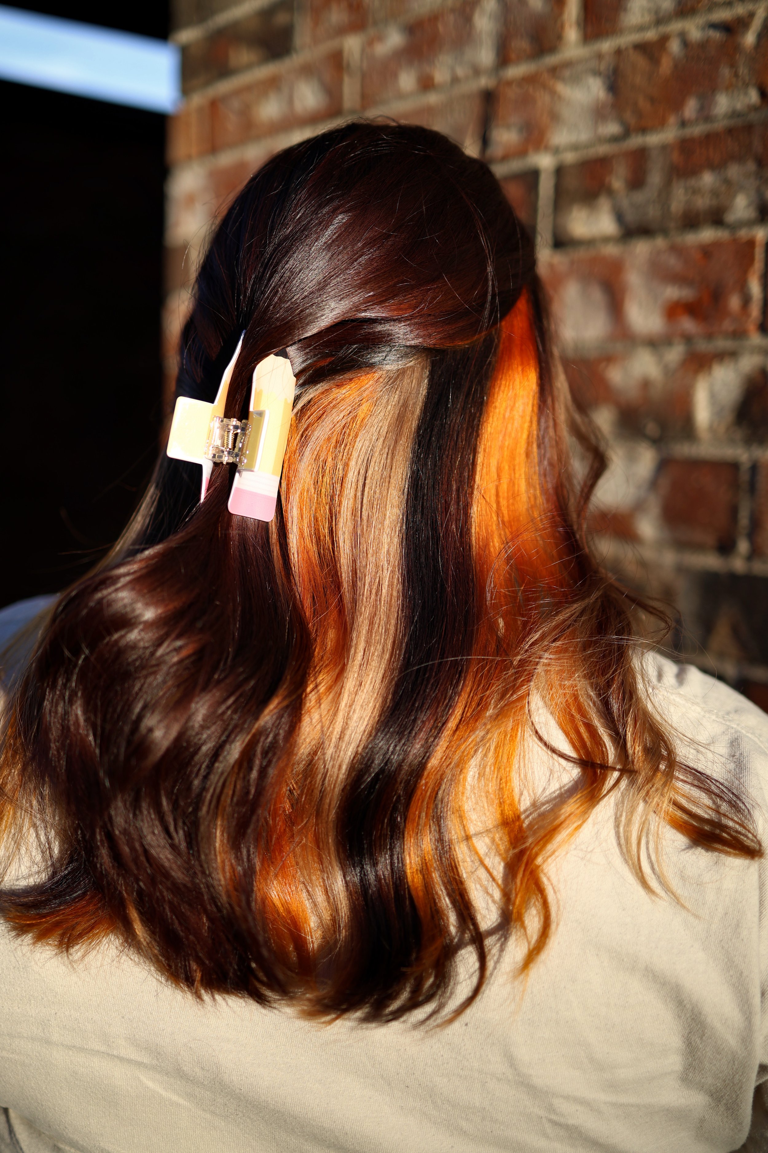 girl with brunette/dark brown hair and a peekaboo of calico brown, blonde, and copper hair underneath