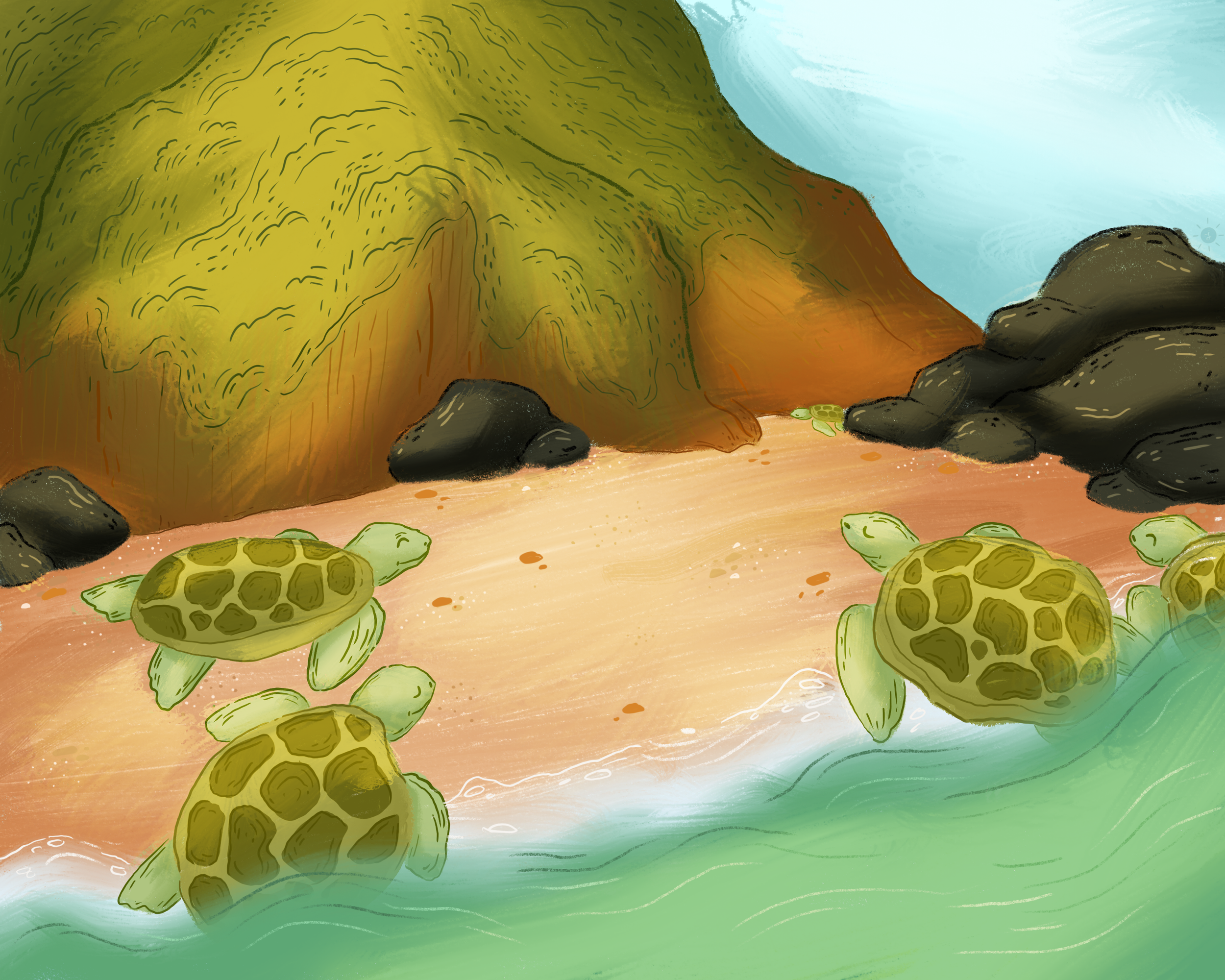 Turtle-beach.png