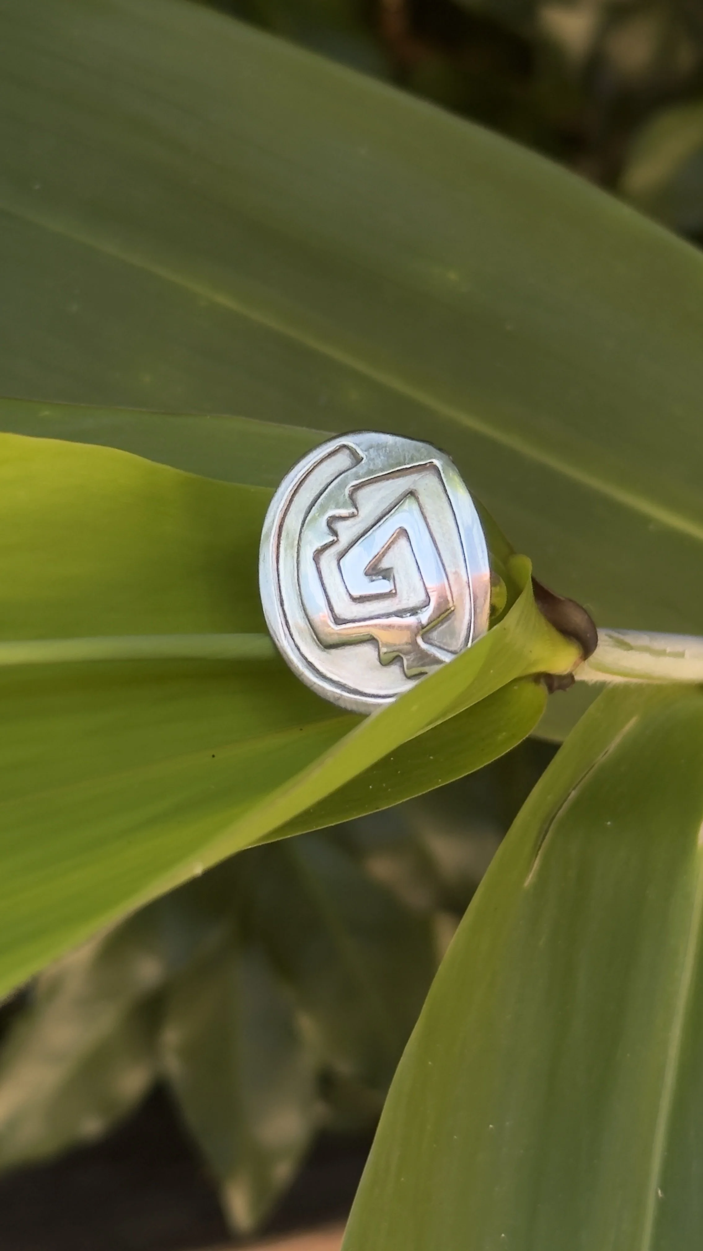 A photo of a silver ring with an aztek design. The ring is sitting in a long green banana leaf.