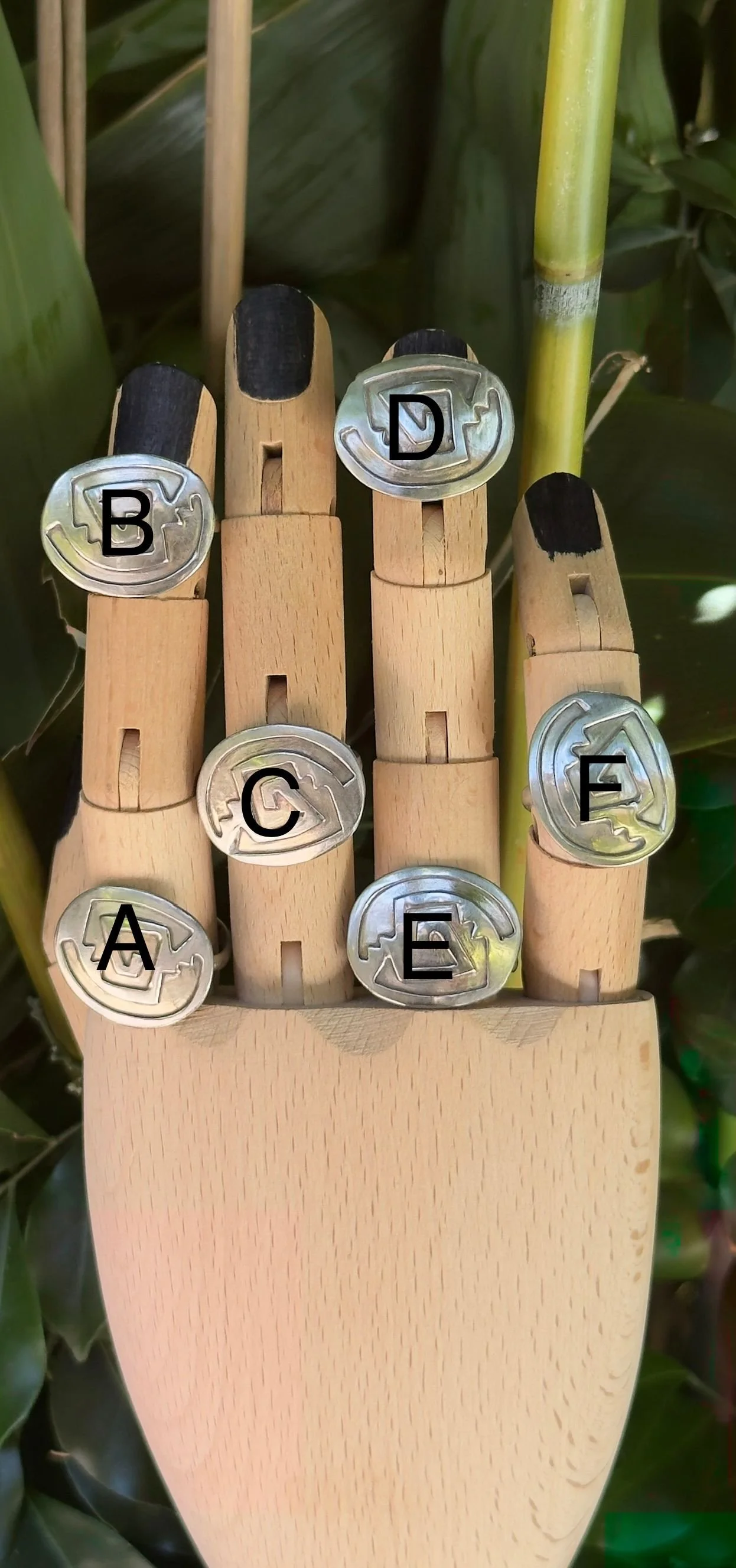 Untitled design (2).jpg