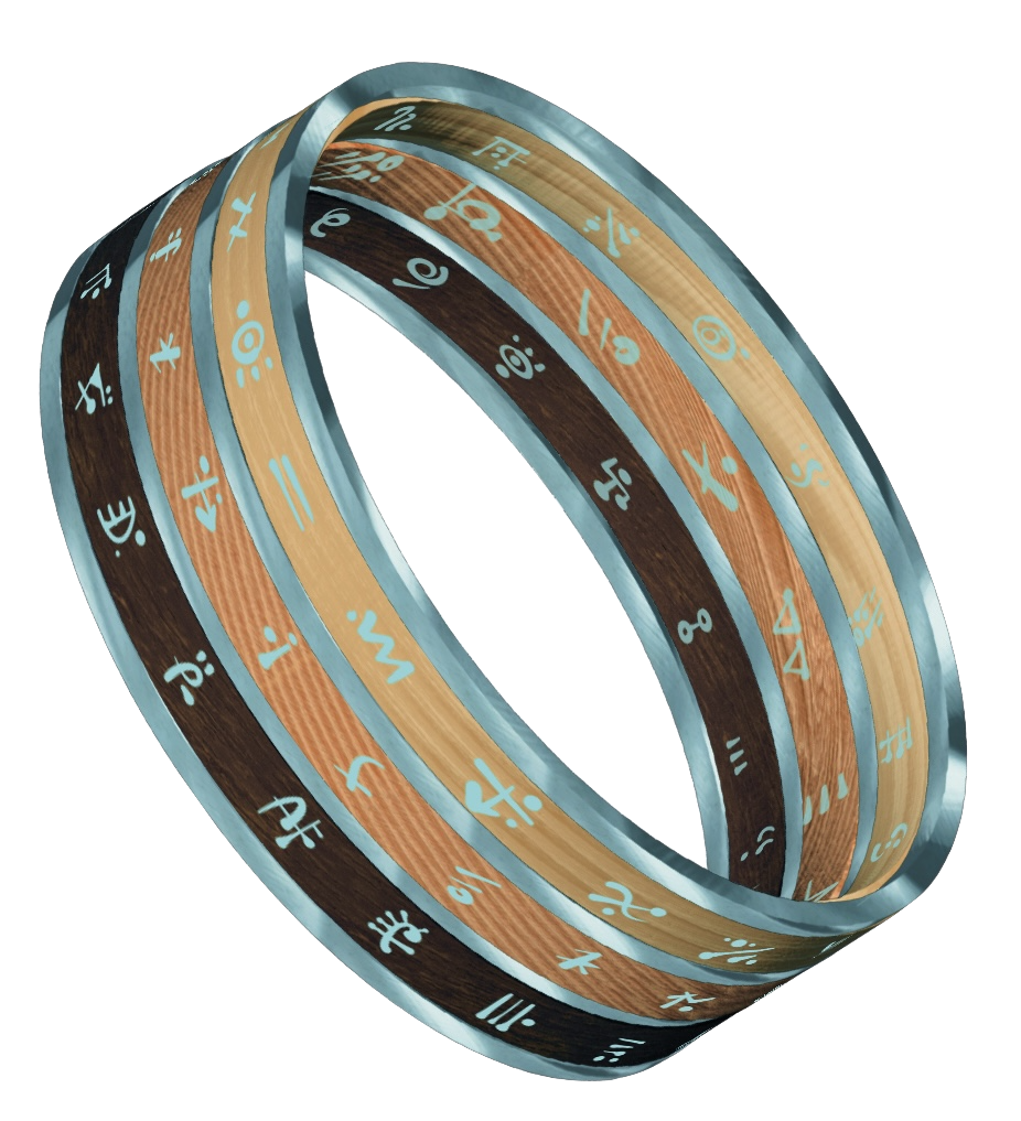 Image of four interwoven rings with inscriptions in a foreign script or code, each ring in different shades of brown, tan, and gray.