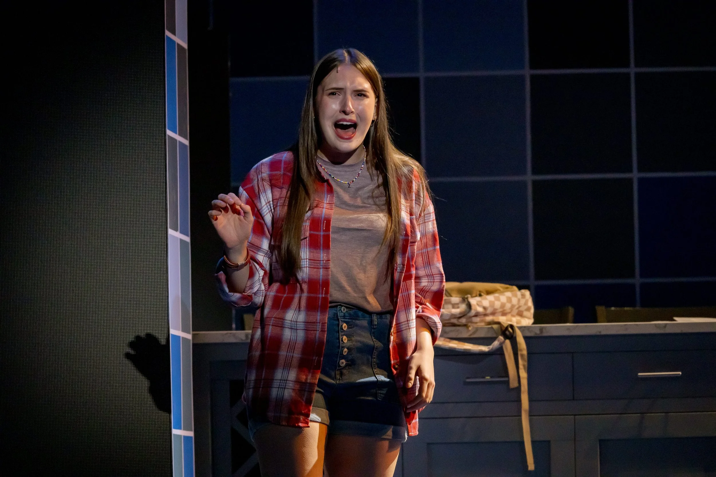 Dear Evan Hansen -89-2.jpg