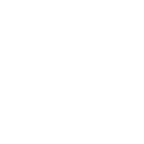 A black background with a white line drawing of a key. The key has a butterfly-shaped bow at the top and a long shaft.