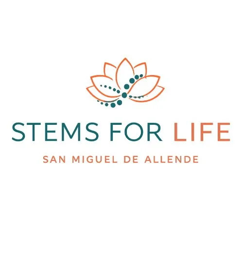 Robert G. Parkinson’s &amp; Motor Function Patient