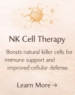 NK cell therapy supporting immune system function and cellular defense