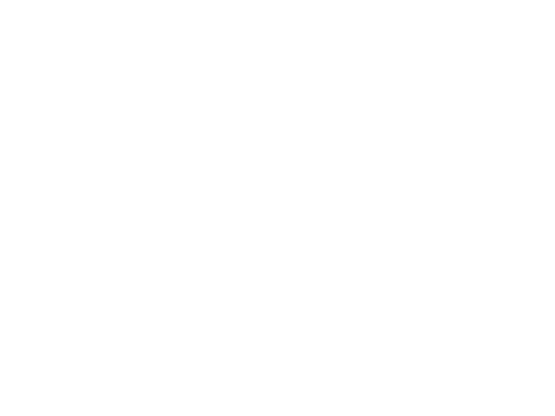 Icon of a branch with leaves