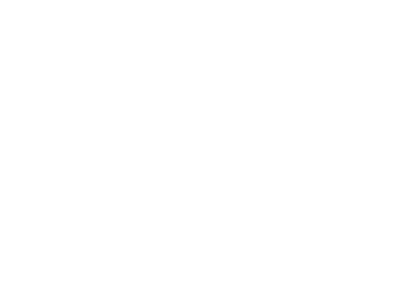 An icon of a Bat